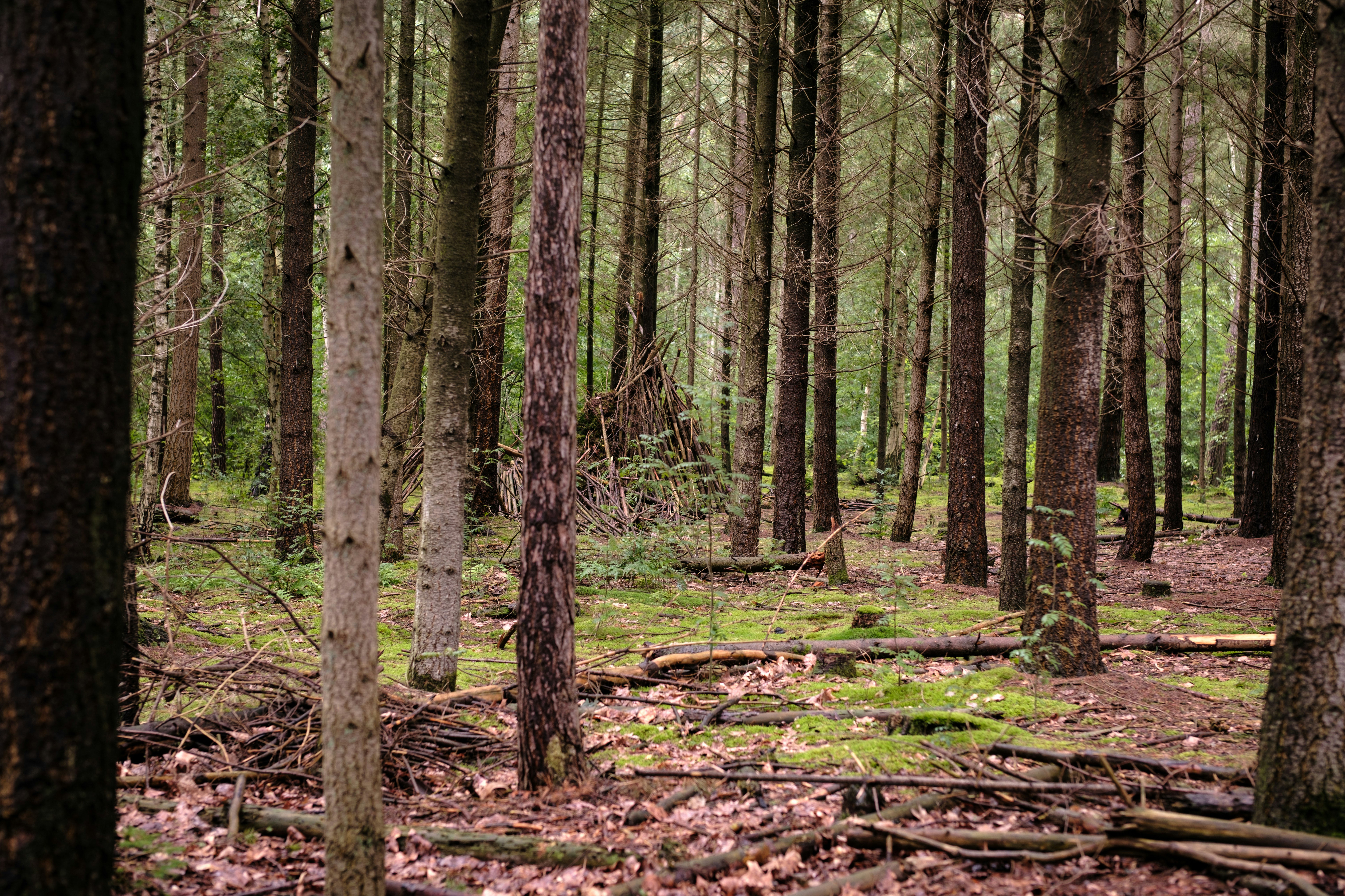 Photo by haberdoedas2