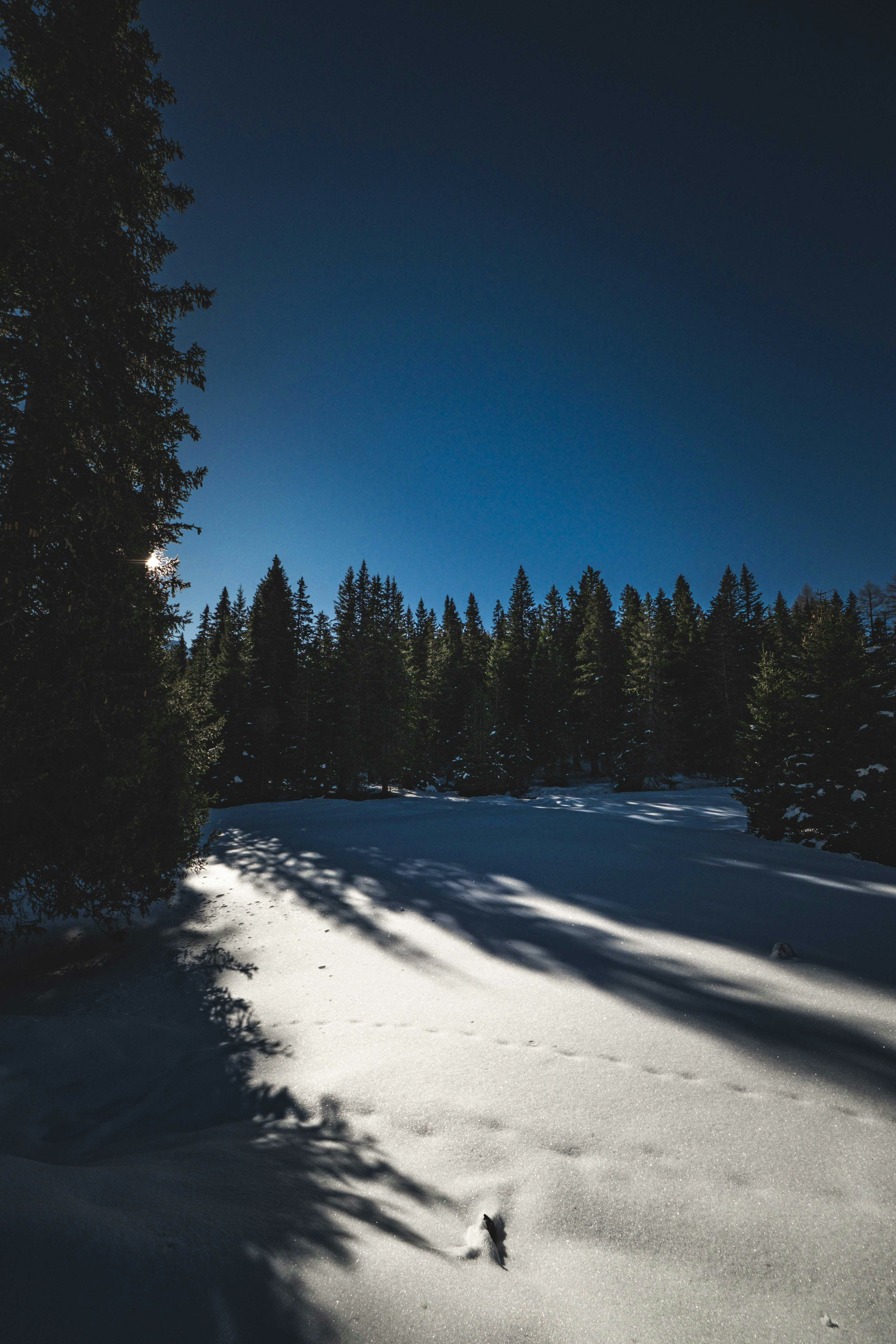 Photo by francesco_ungaro