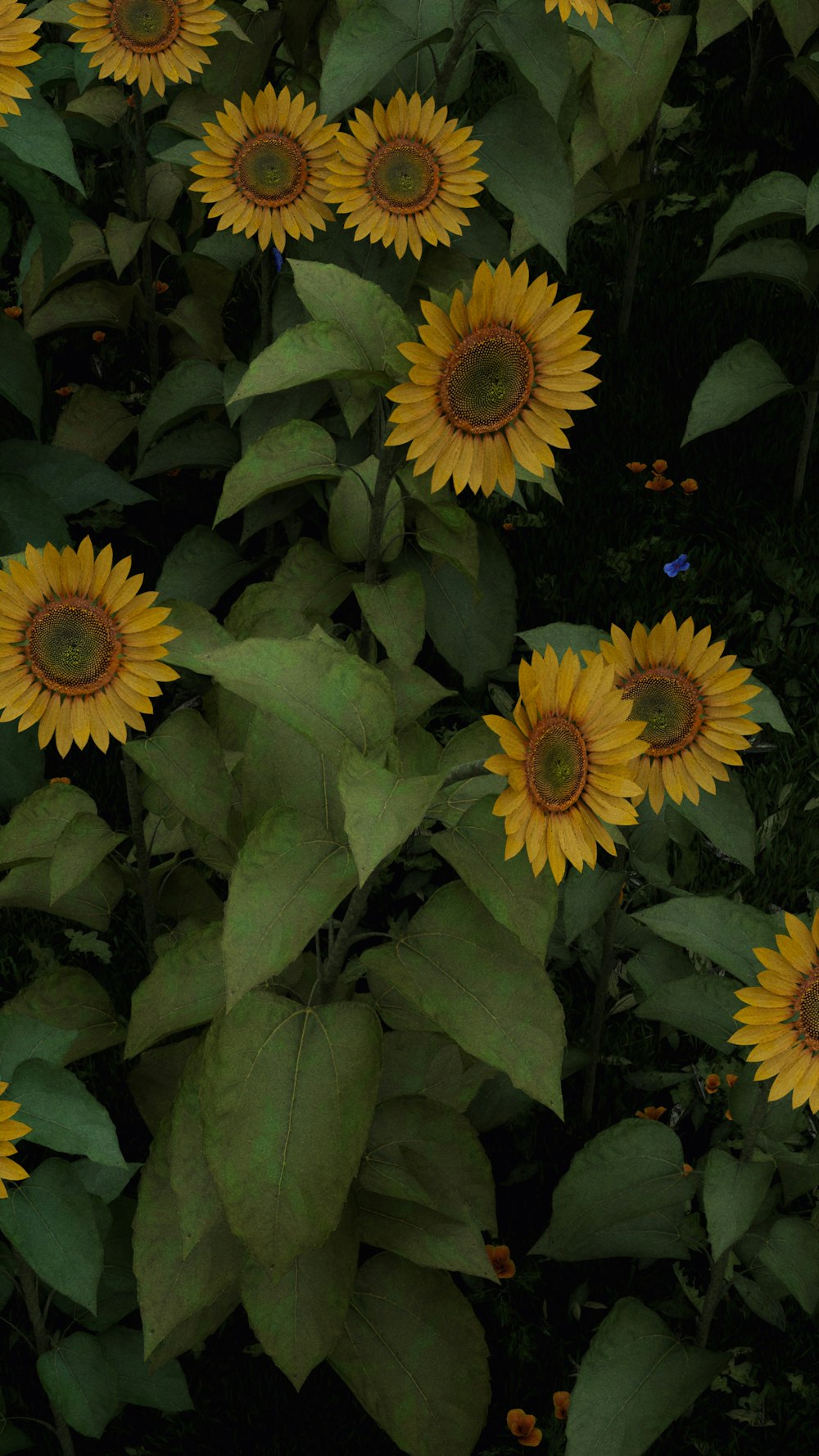 a bunch of sunflowers that are in a field