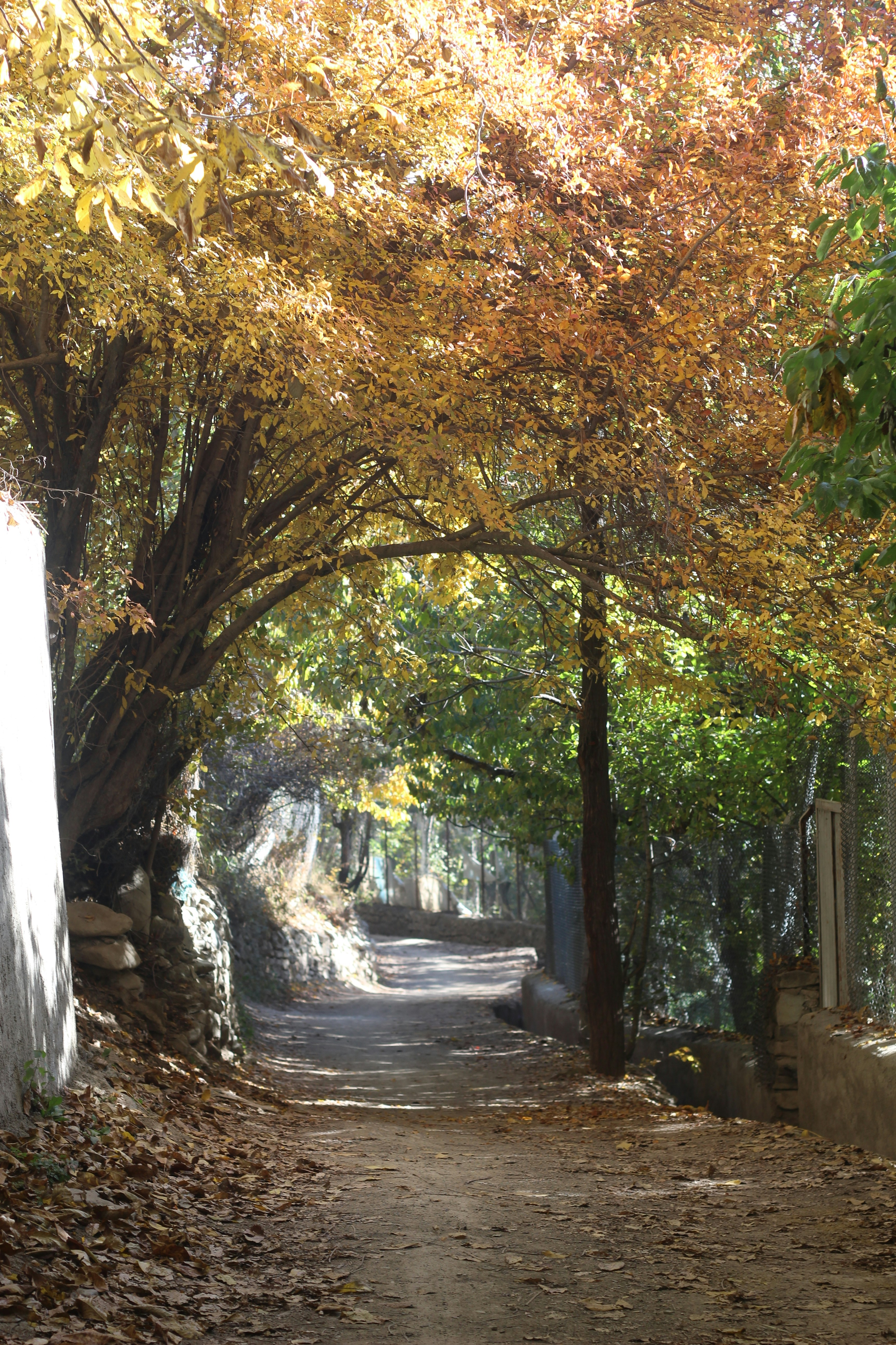 Photo by saleh_aka_jim