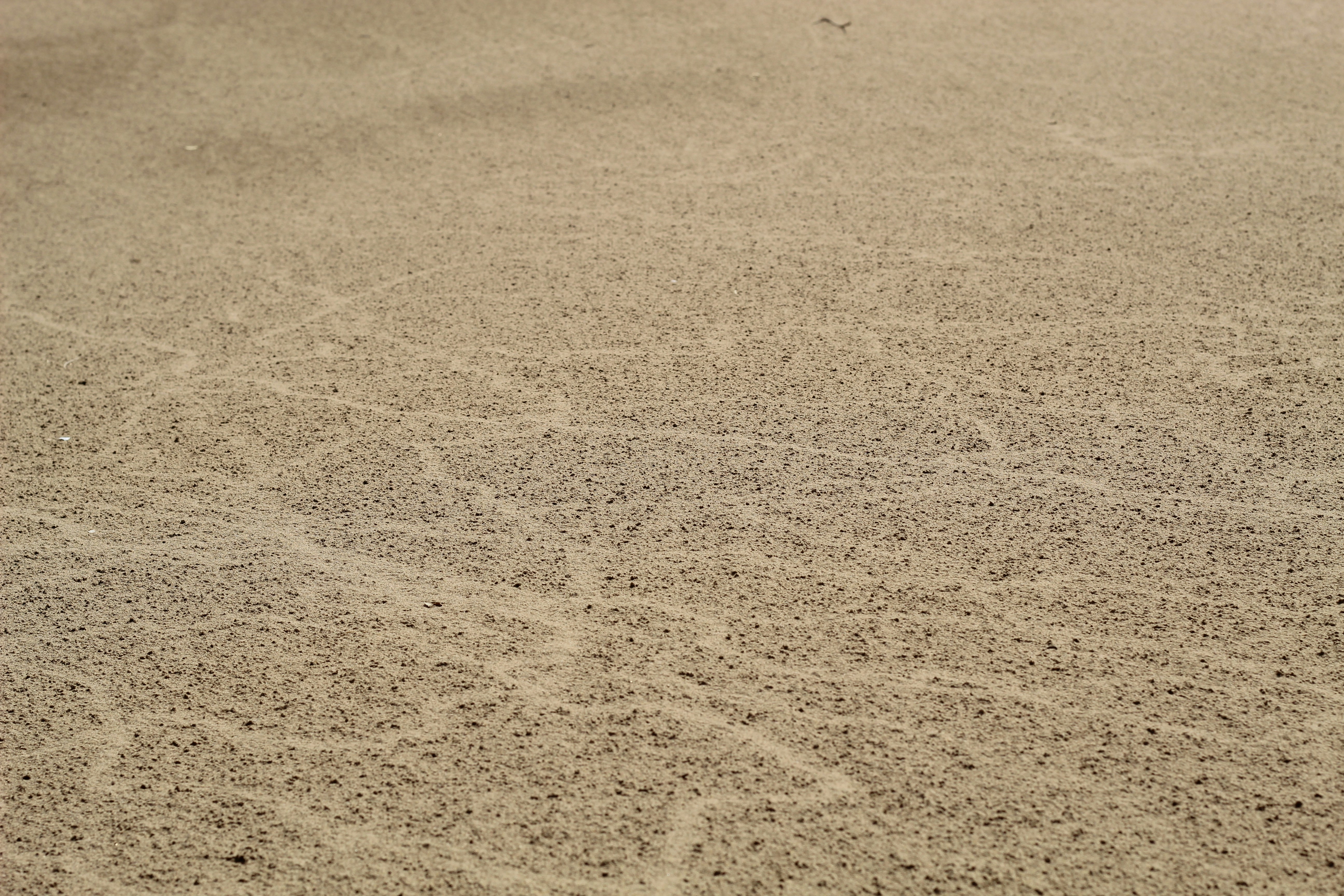 Photo by saleh_aka_jim