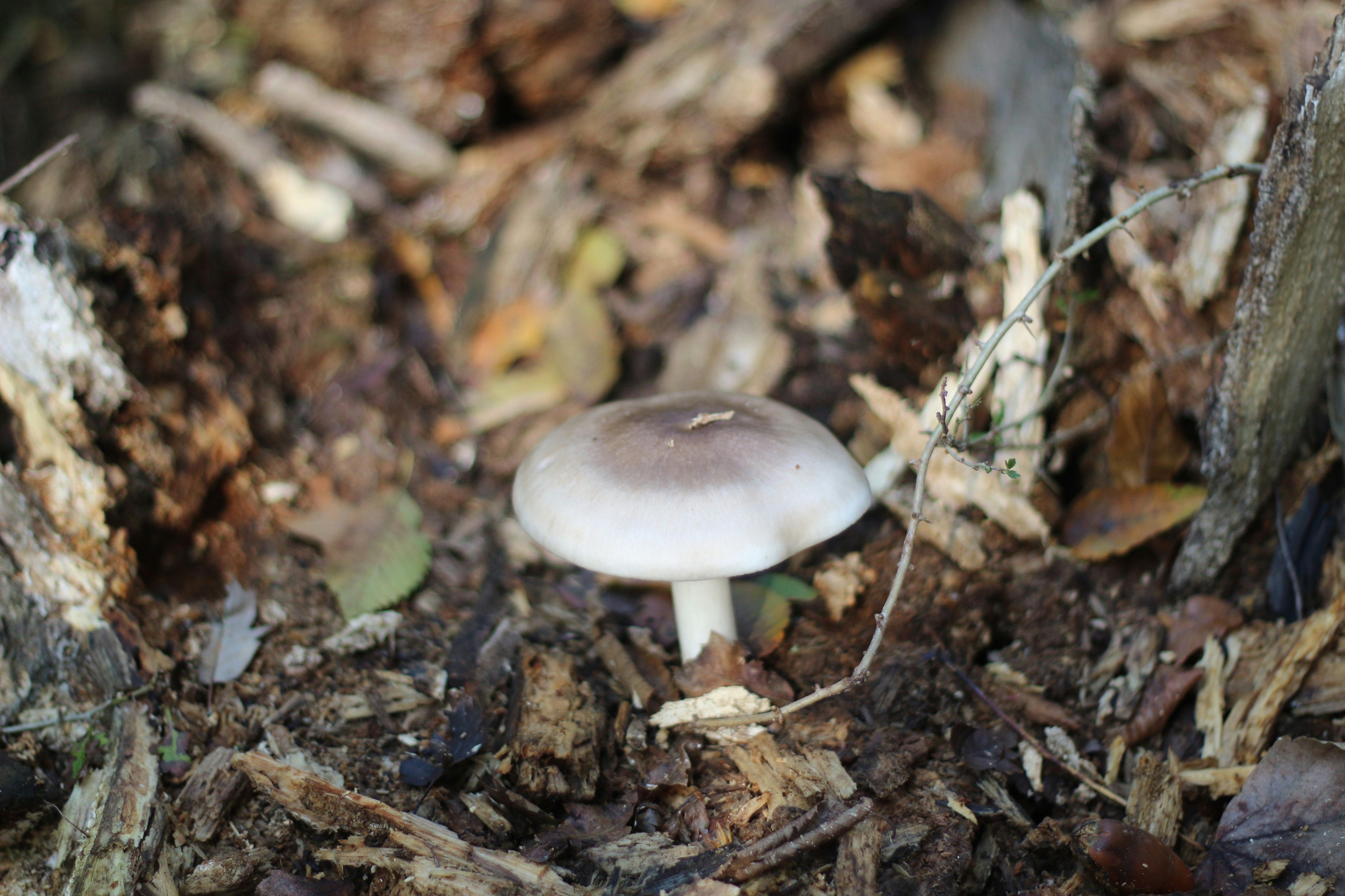 Photo by saleh_aka_jim