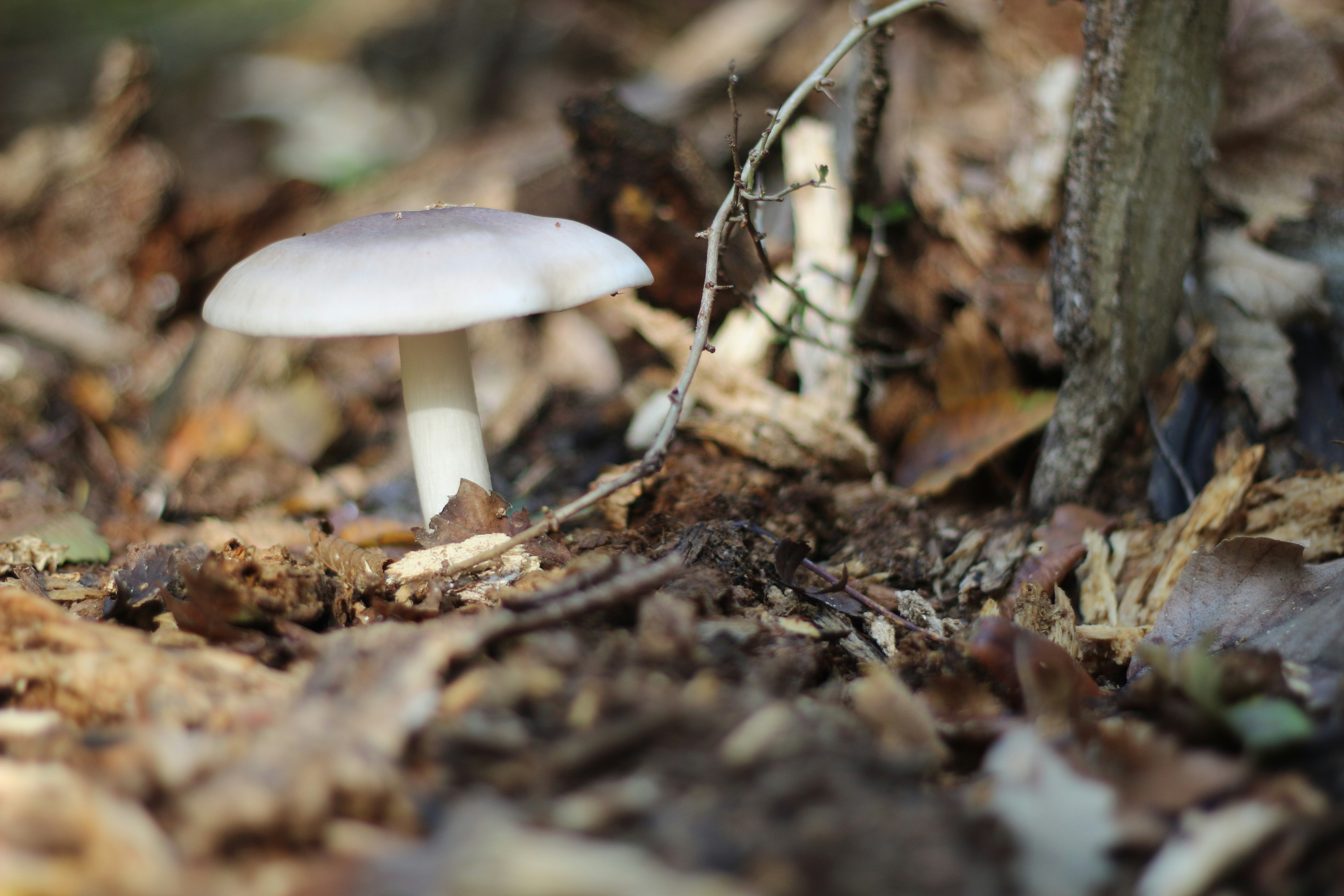 Photo by saleh_aka_jim