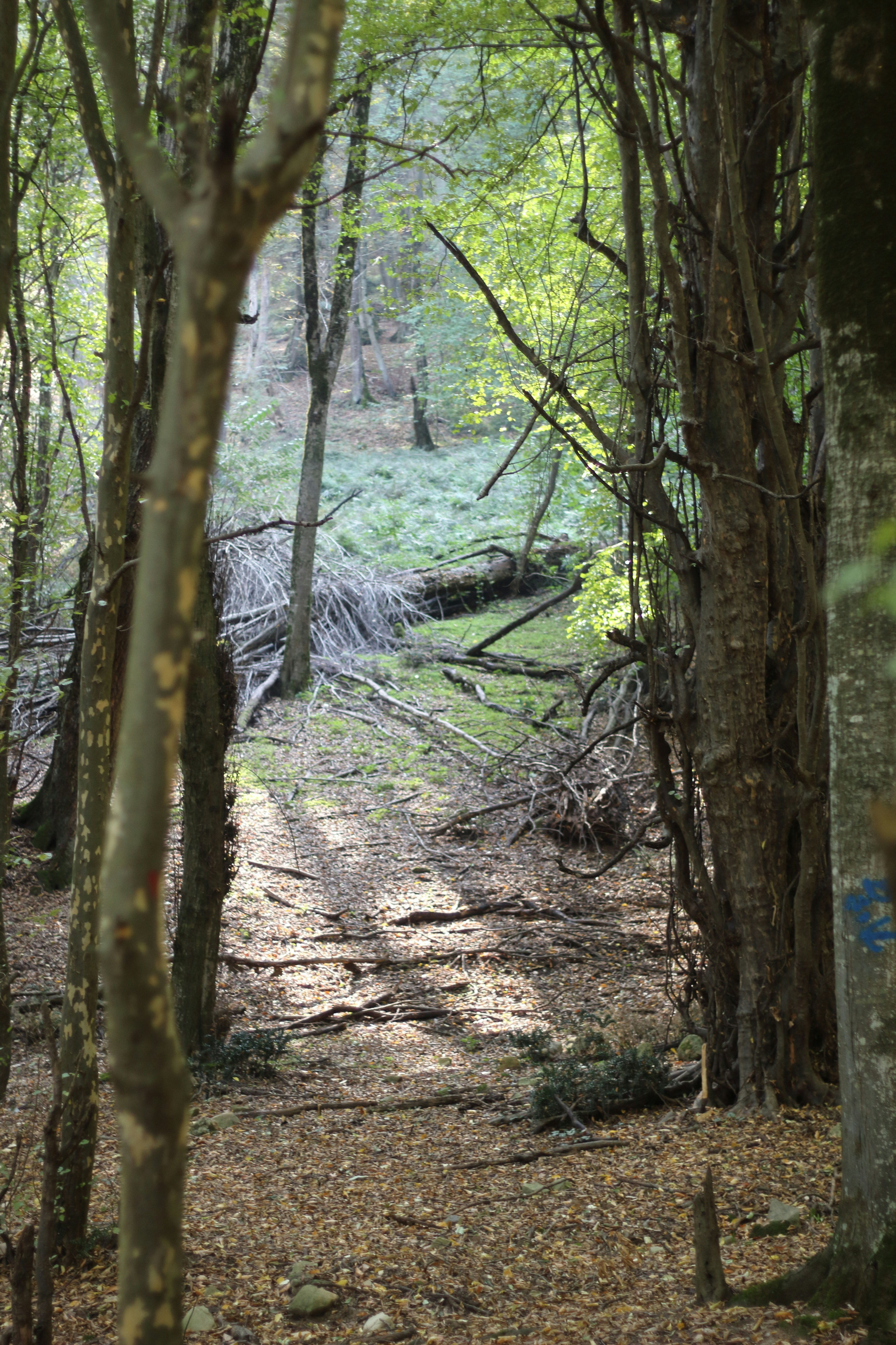 Photo by saleh_aka_jim