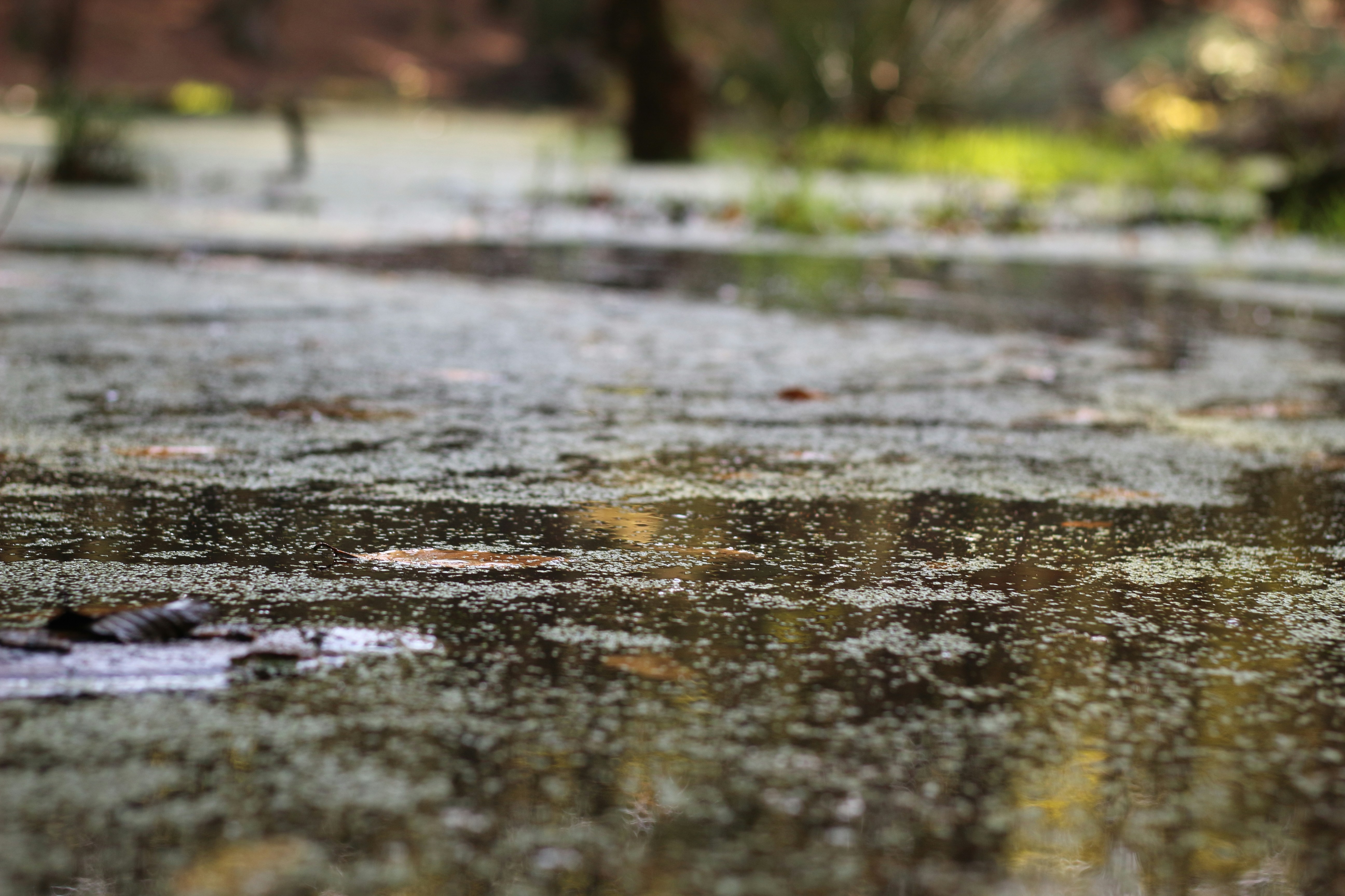 Photo by saleh_aka_jim