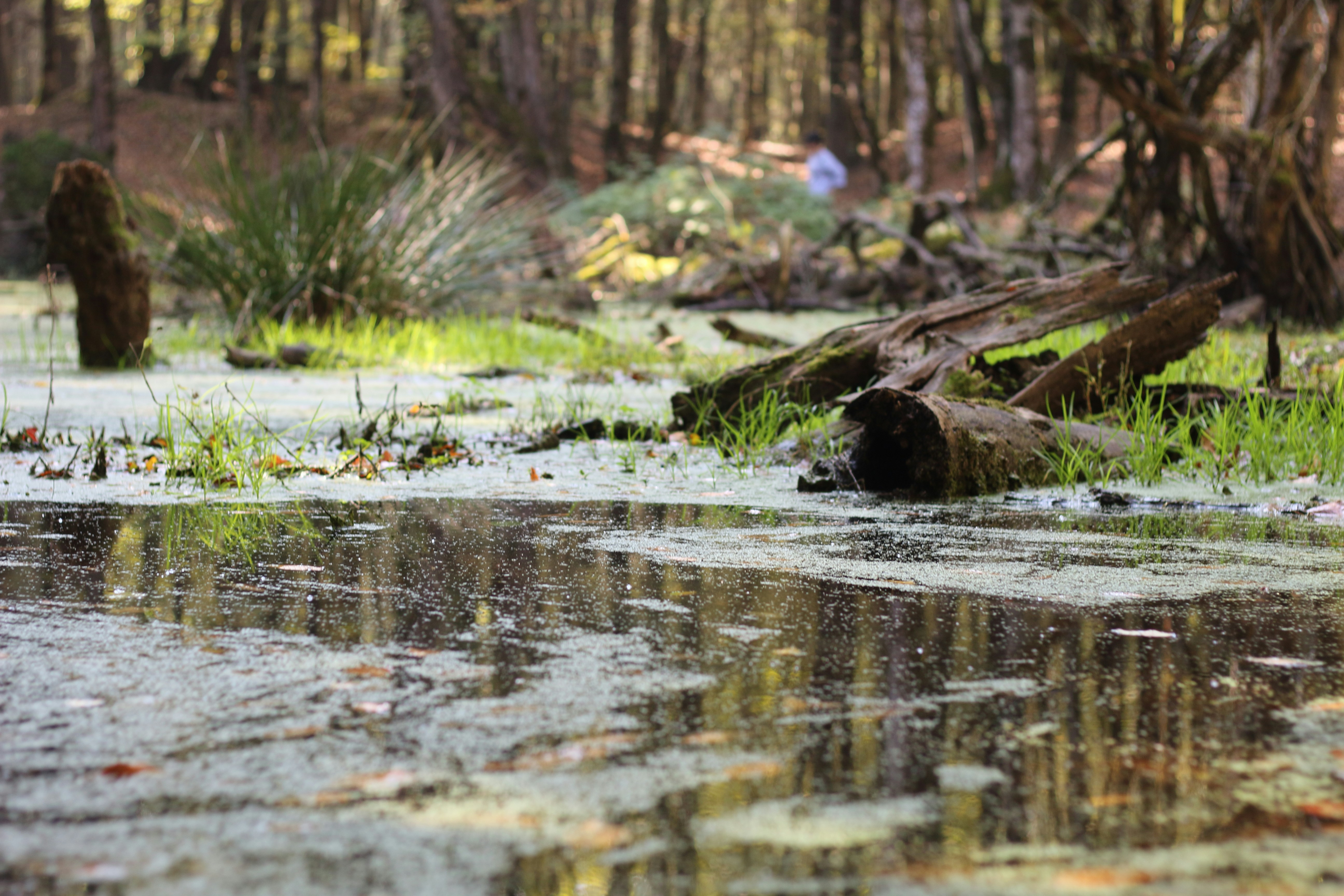 Photo by saleh_aka_jim