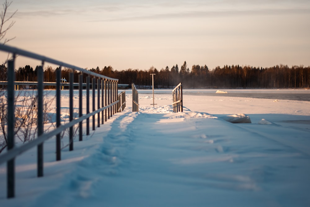 a snowy path leading to a lake with trees in the background