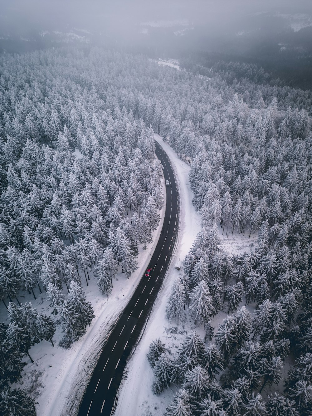 Une route au milieu d’une forêt enneigée