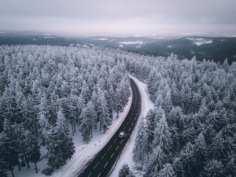 a road in the middle of a forest covered in snow