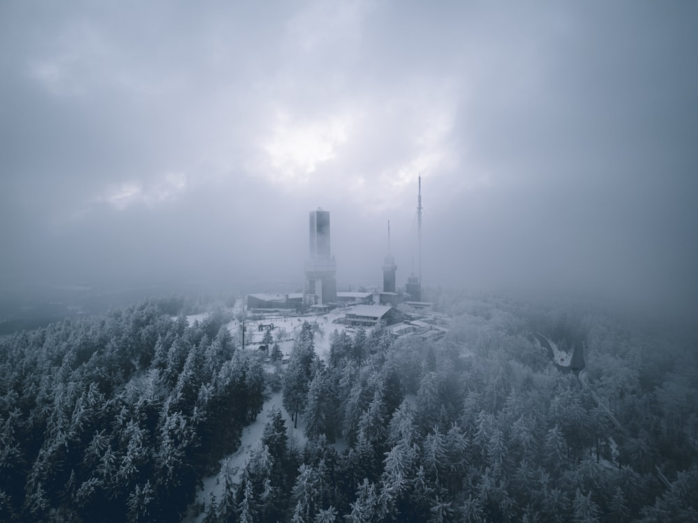 a foggy sky over a forest filled with tall buildings