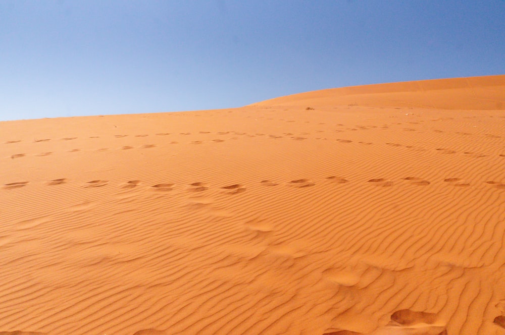 footprints in the sand of a desert