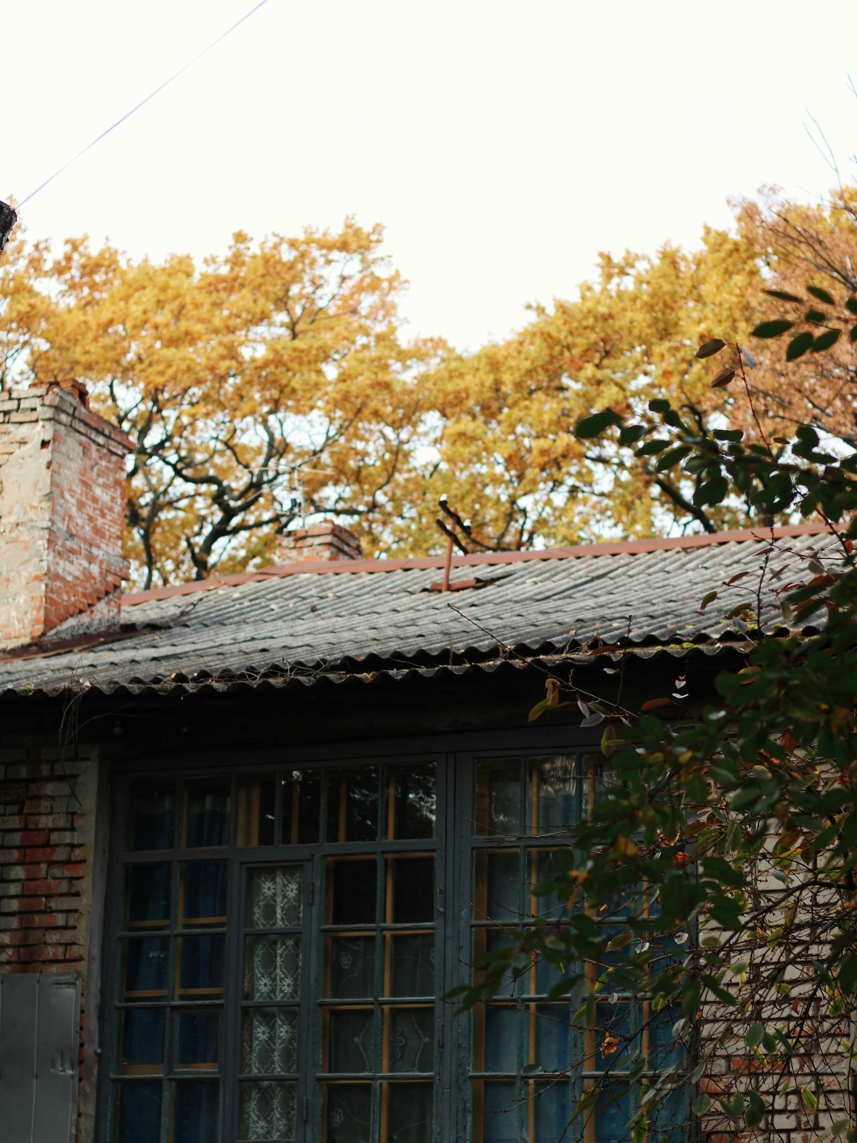 Photo by riomenkai