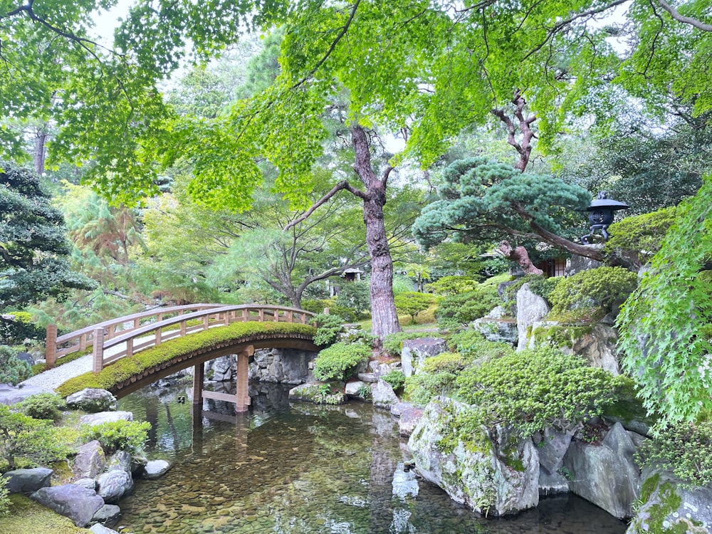 a bridge over a small stream in a garden