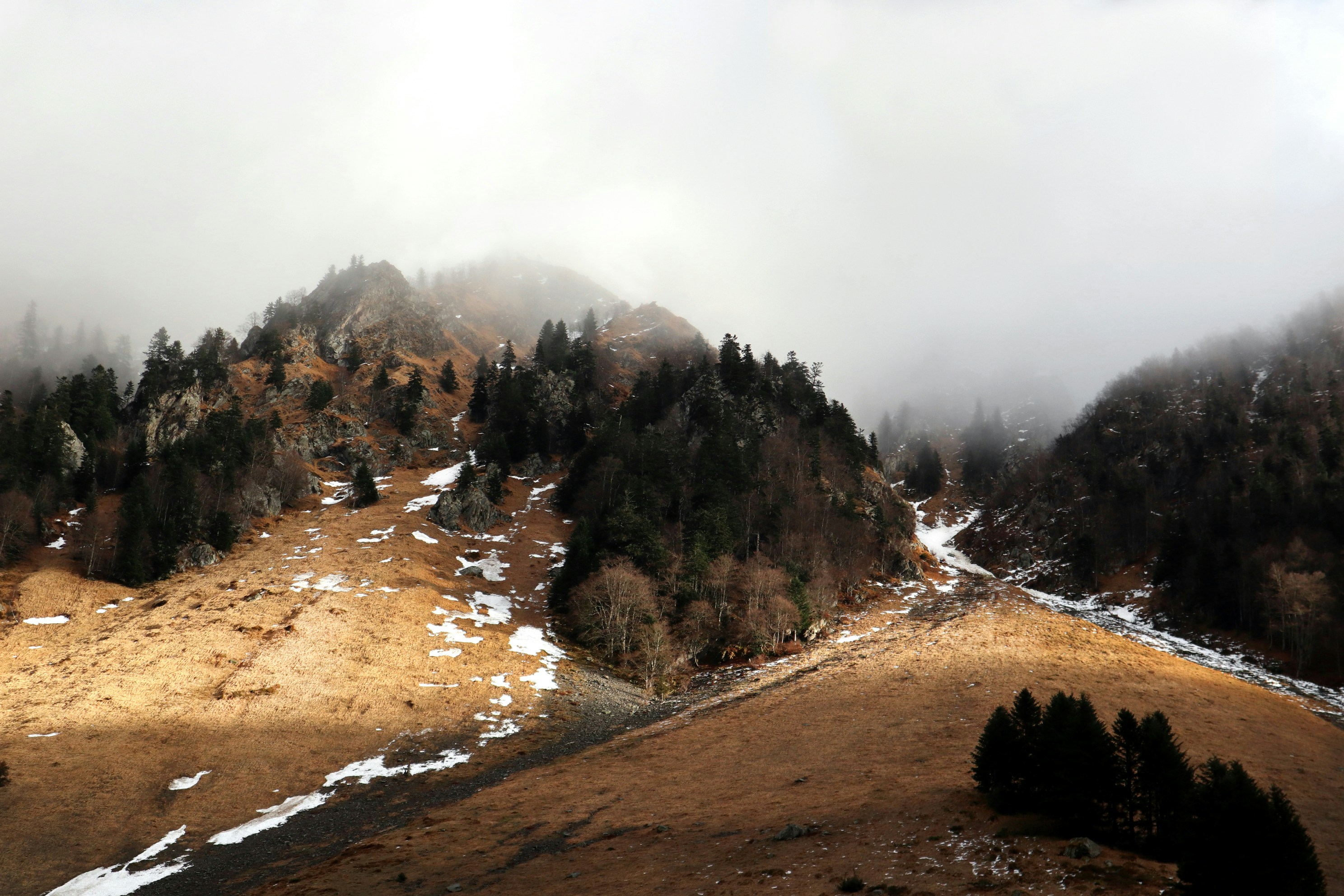 a mountain covered in snow and trees on a cloudy day