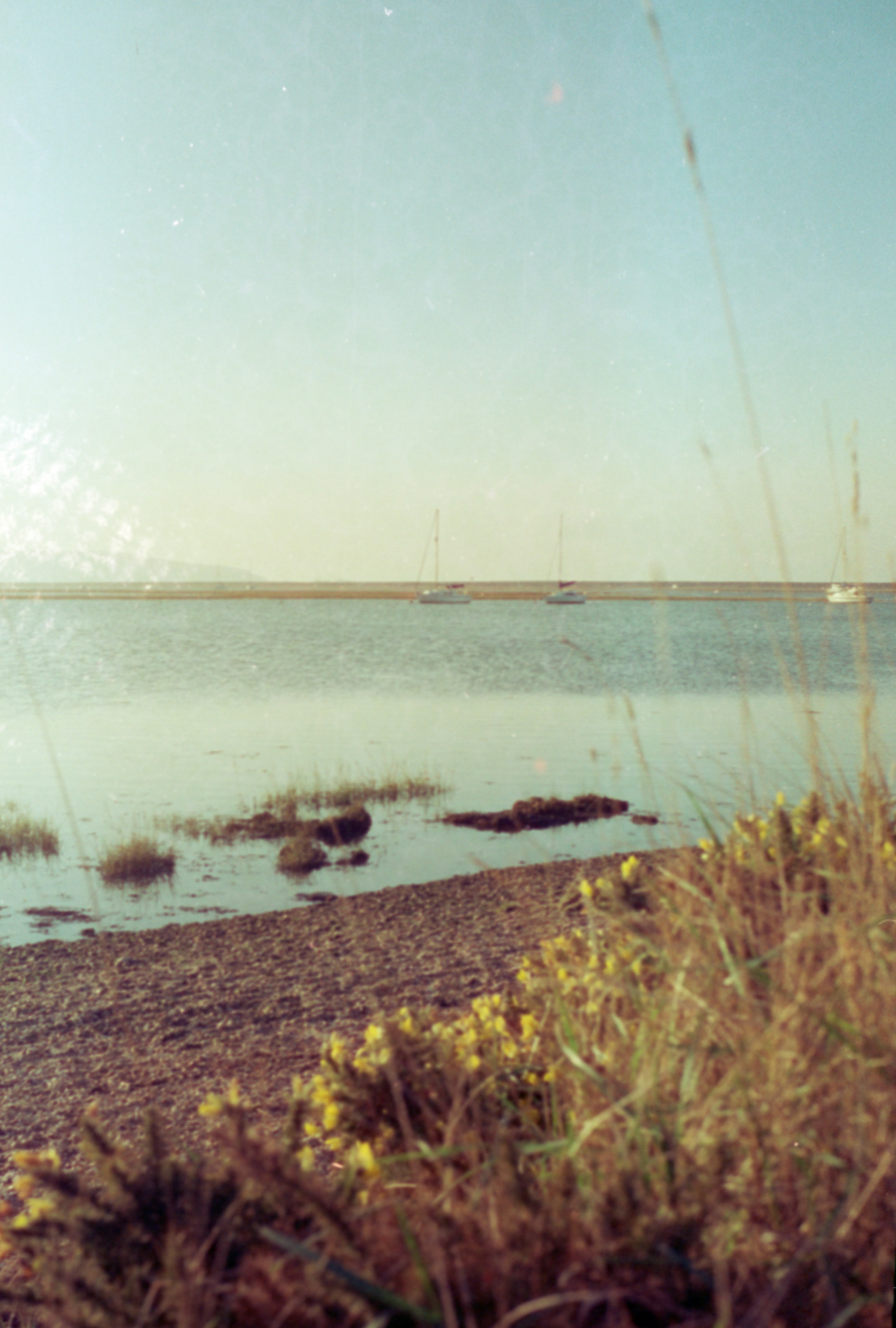 Photo by anniespratt