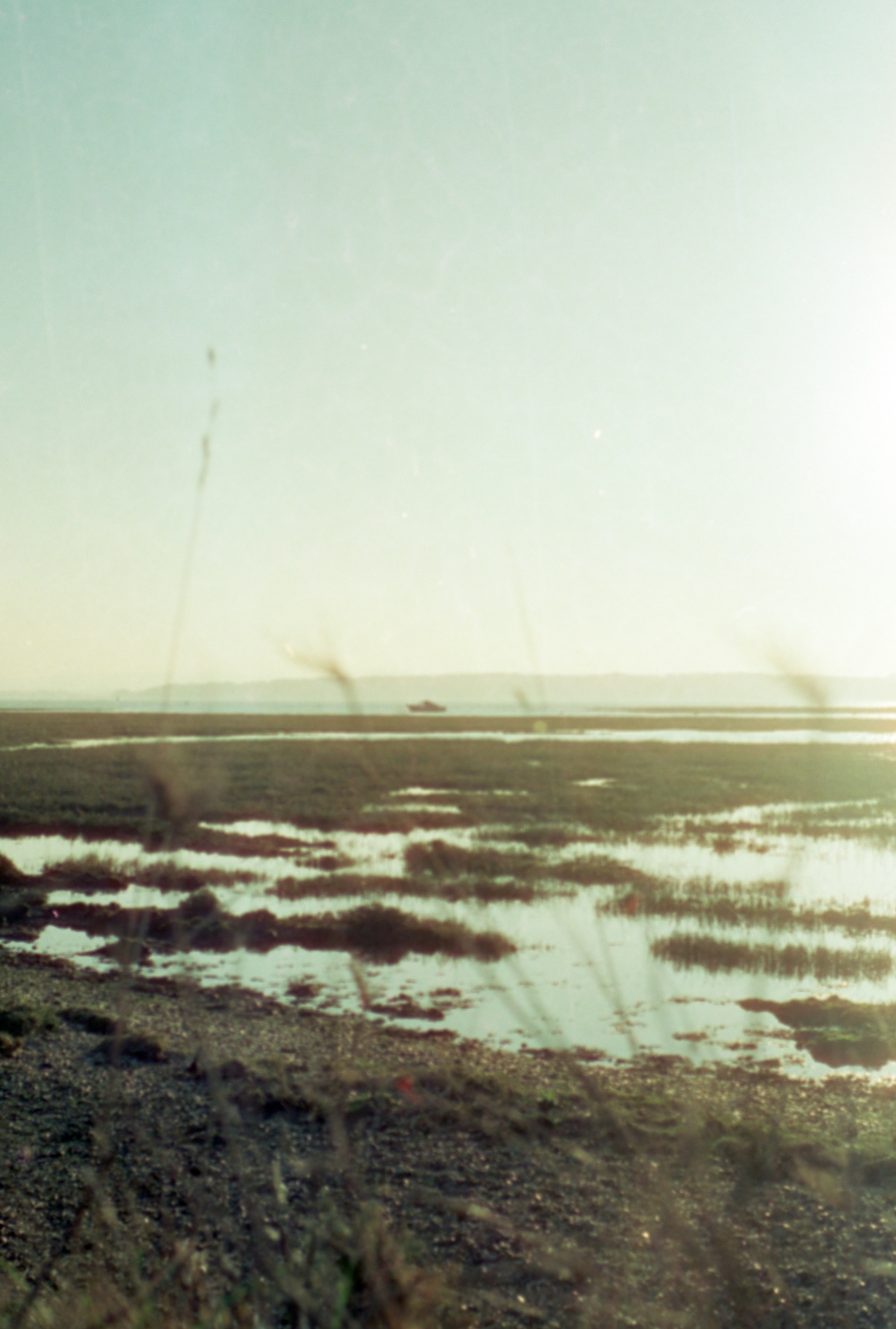 Photo by anniespratt