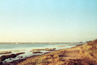 a view of a body of water with boats in the distance