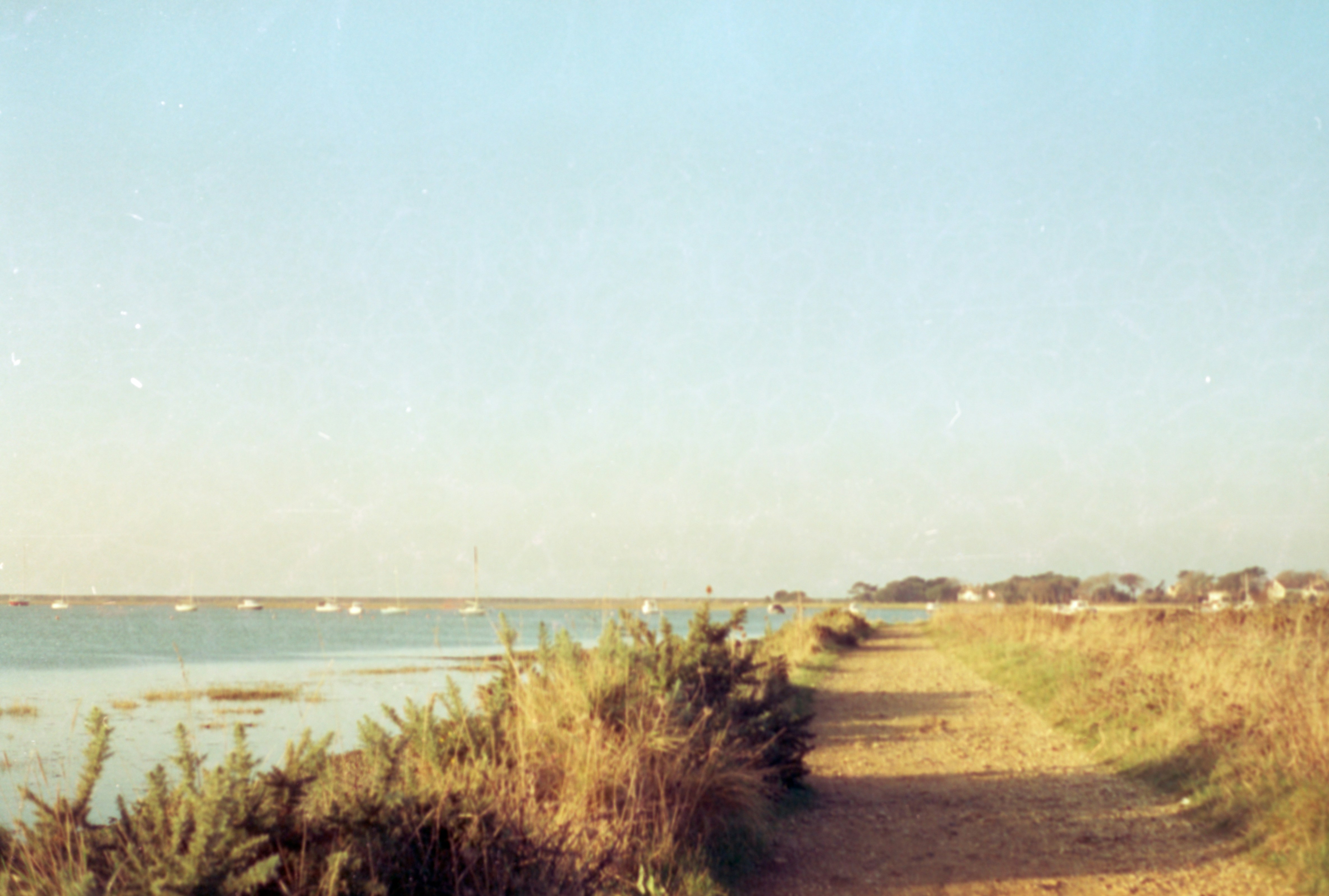 Photo by anniespratt