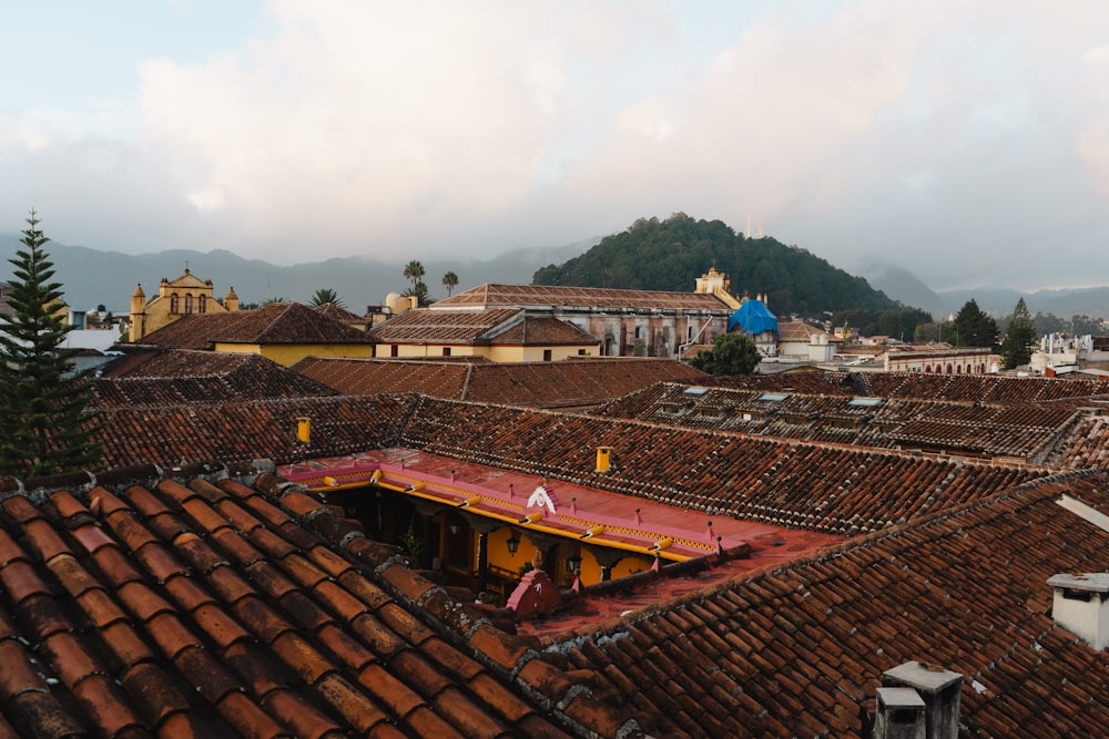 a view of rooftops and buildings with a mountain in the background