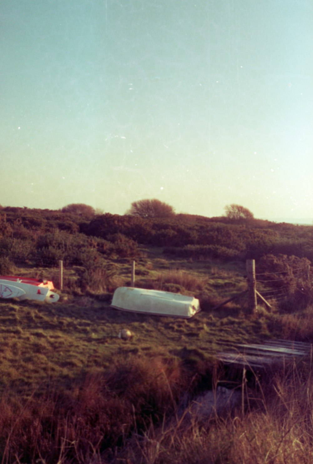 a grassy field with a bunch of boats in it