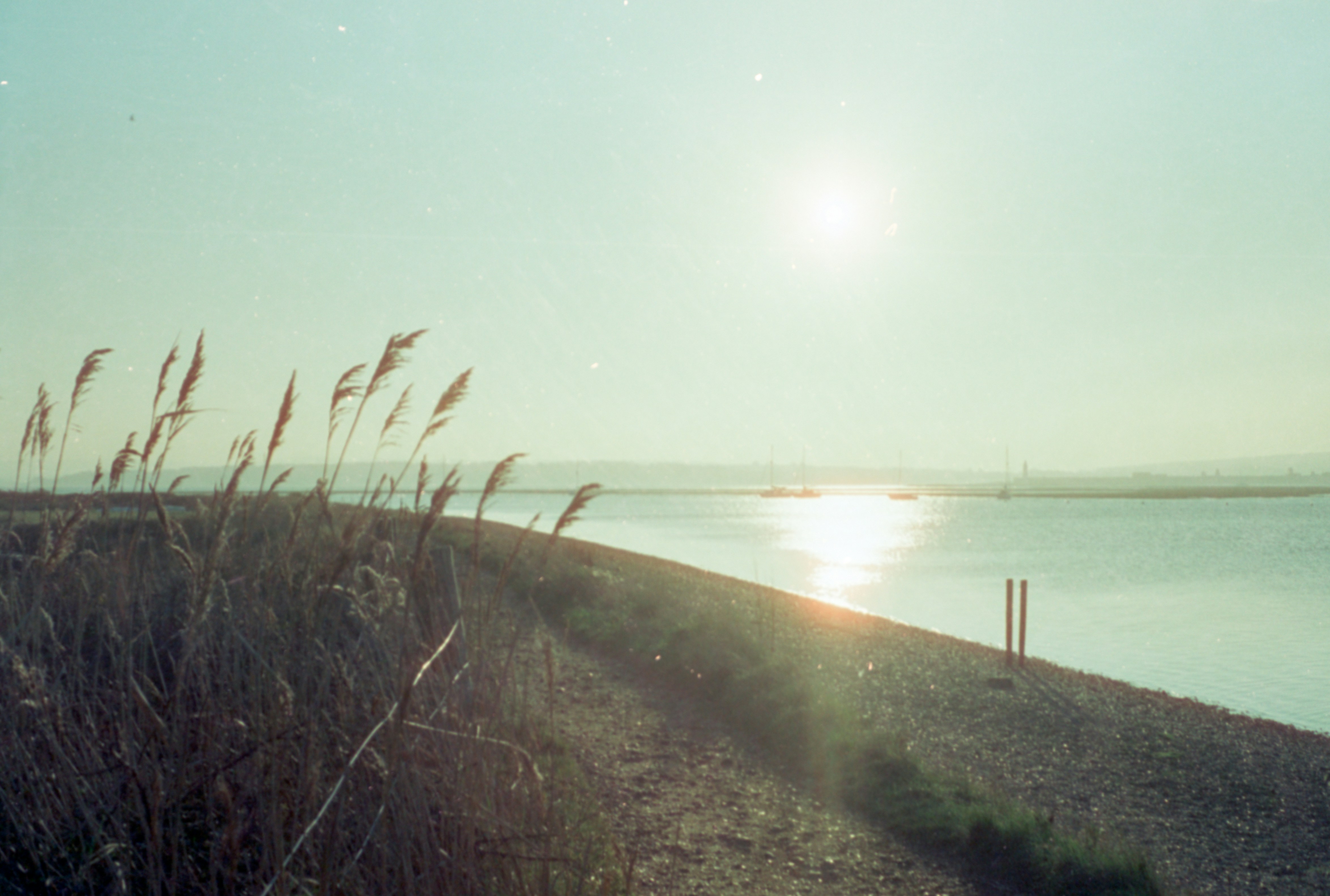 Photo by anniespratt