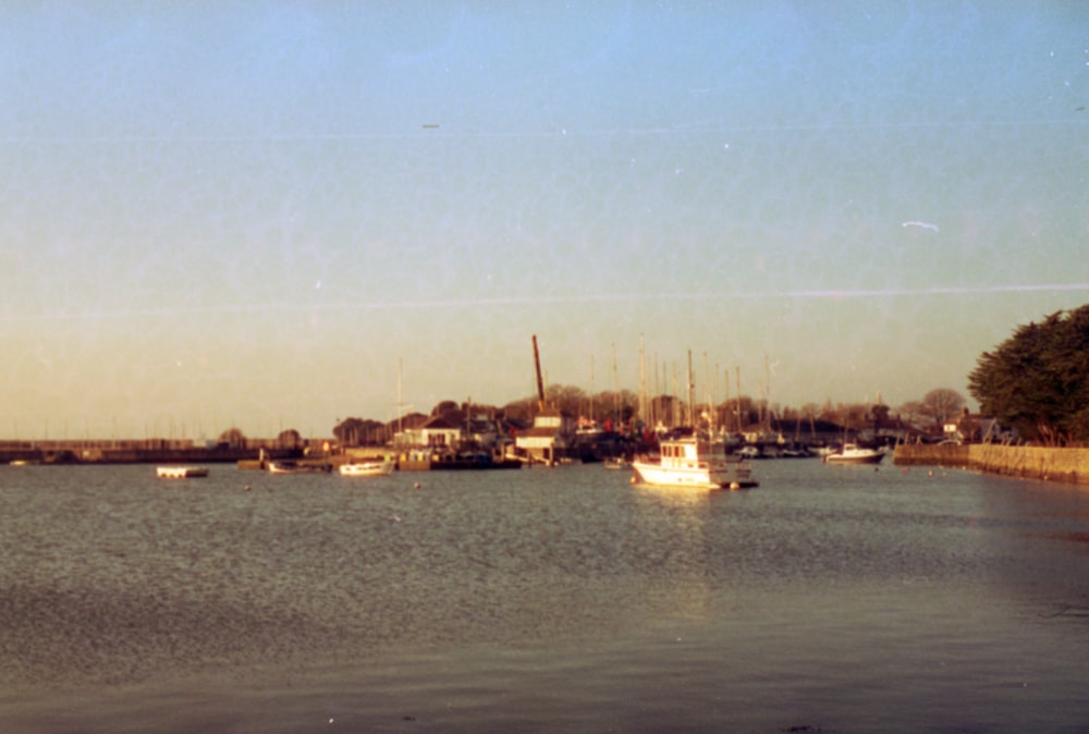 a body of water filled with lots of boats