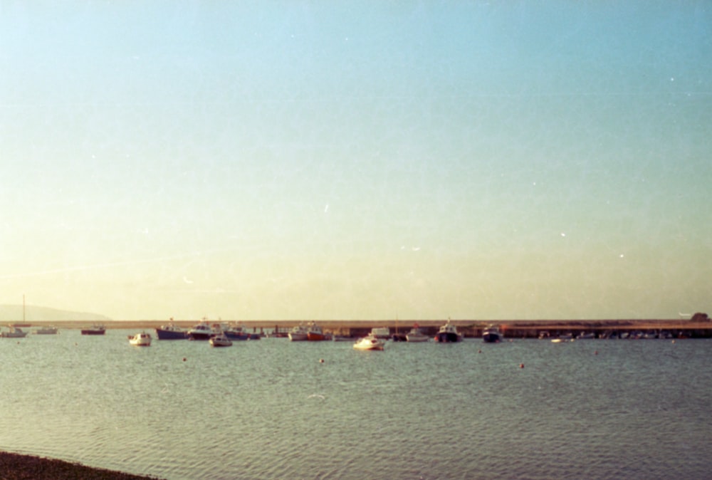 a body of water filled with lots of boats