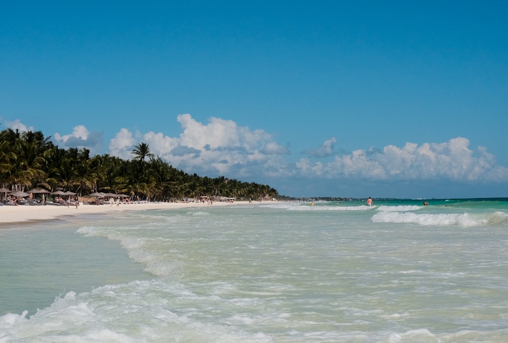 a beach that has a bunch of waves in it