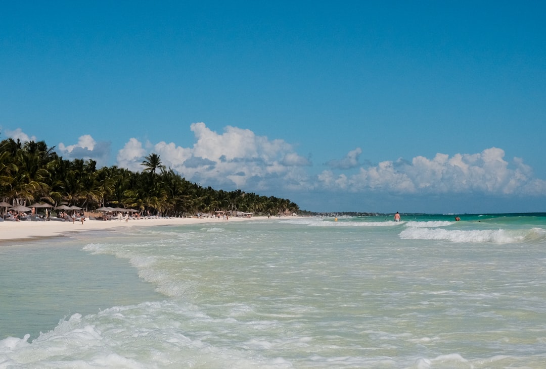 a beach that has a bunch of waves in it,