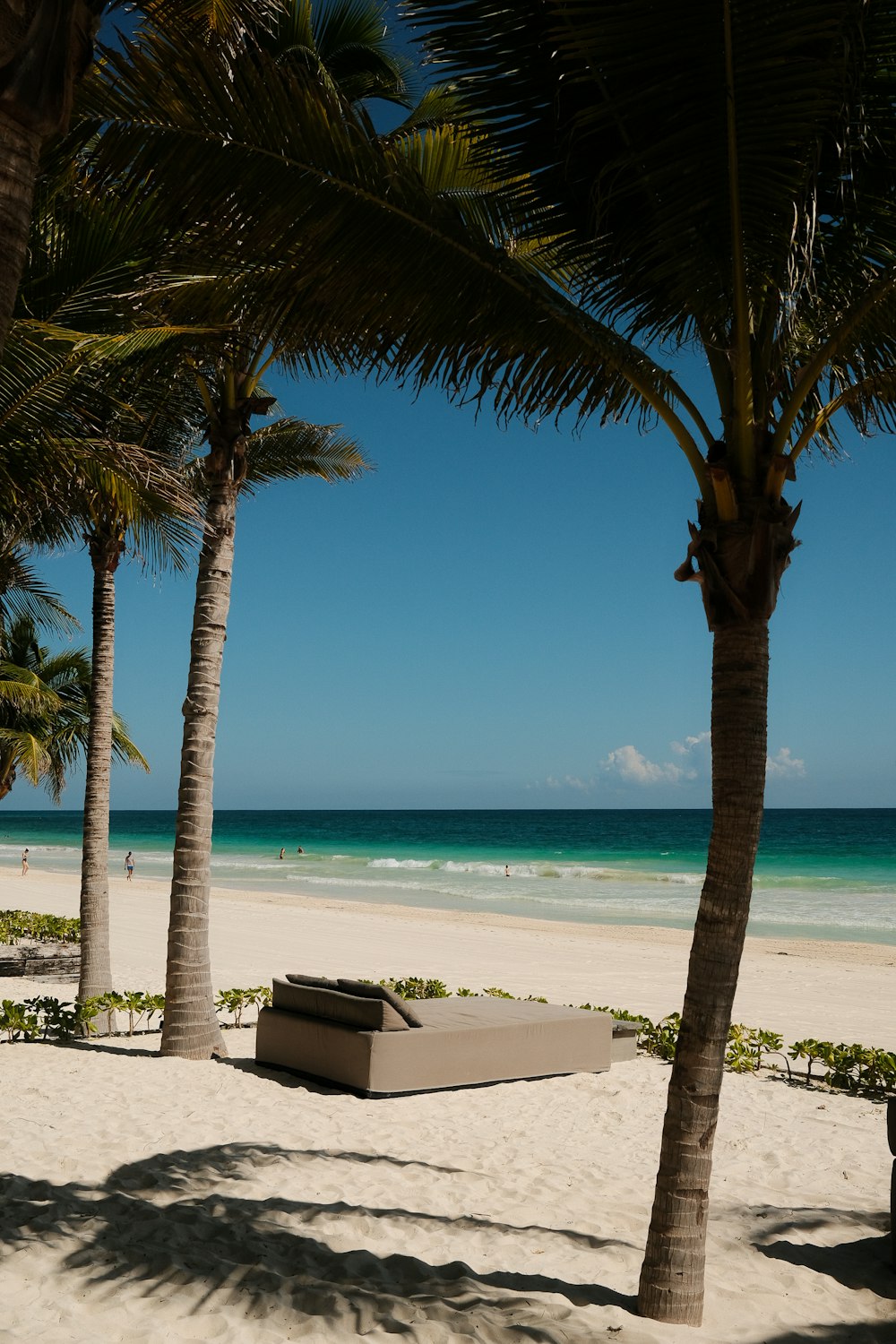 a beach with palm trees and a couch on the sand