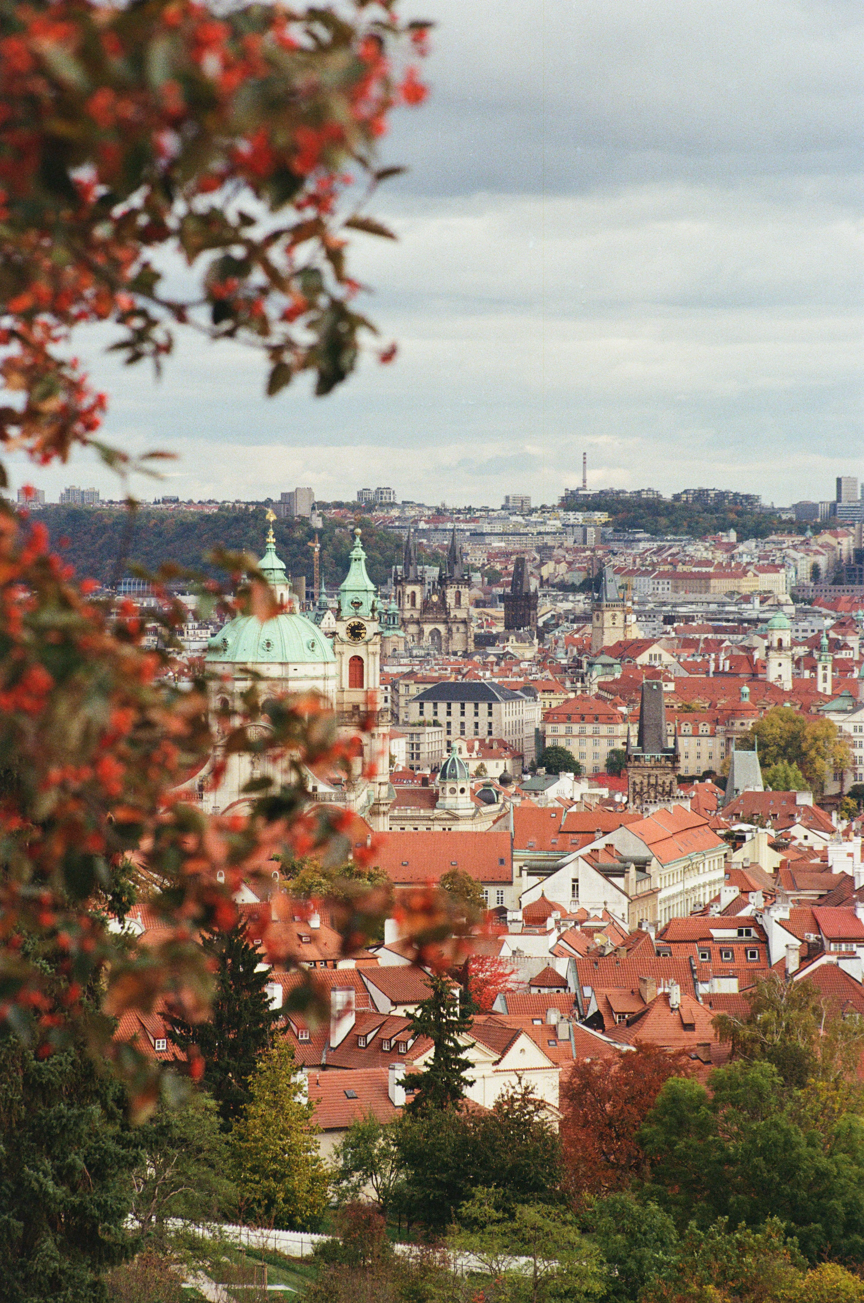 Prague's historic towers and red roofs seen through autumn foliage