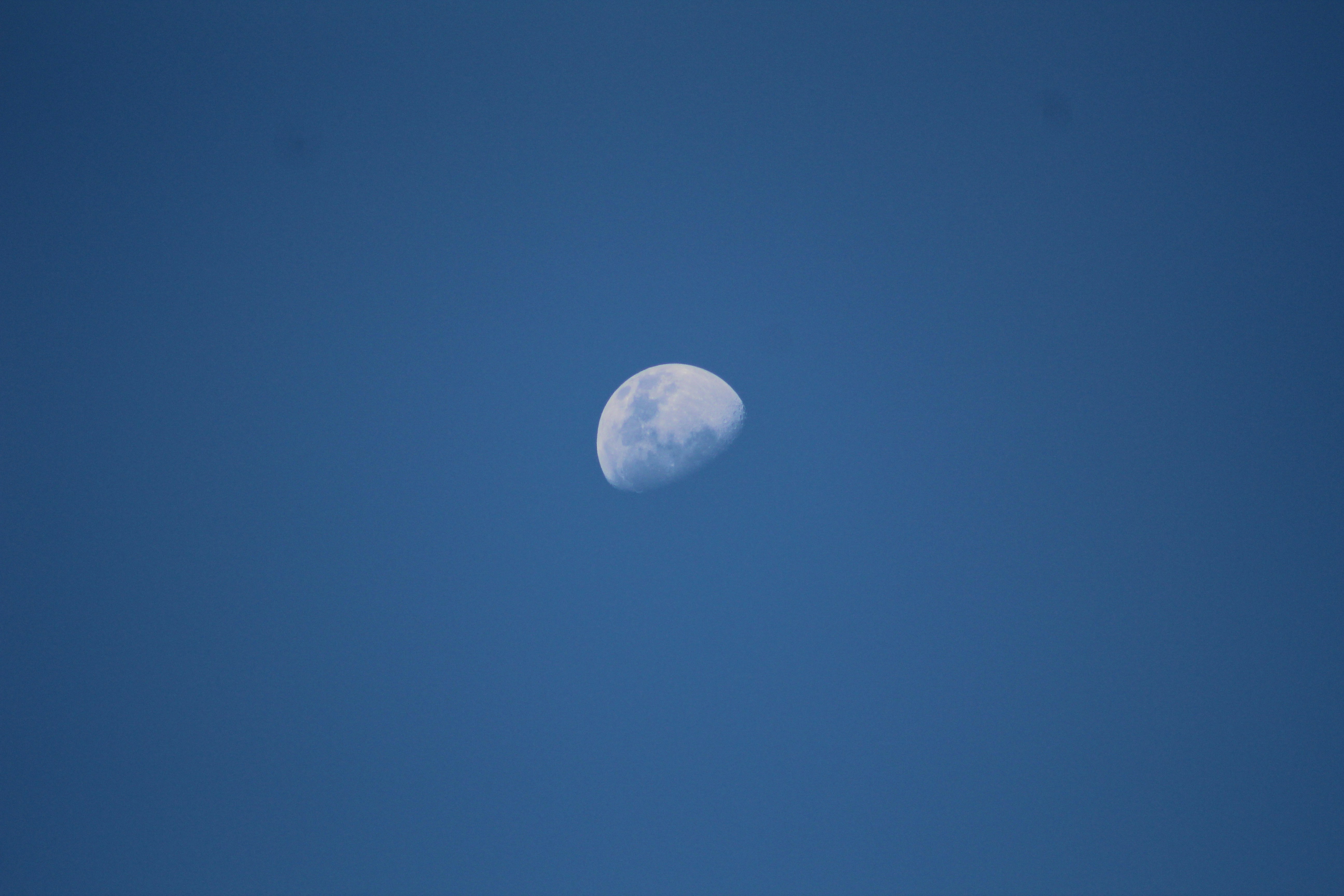 Photo by karnikowski