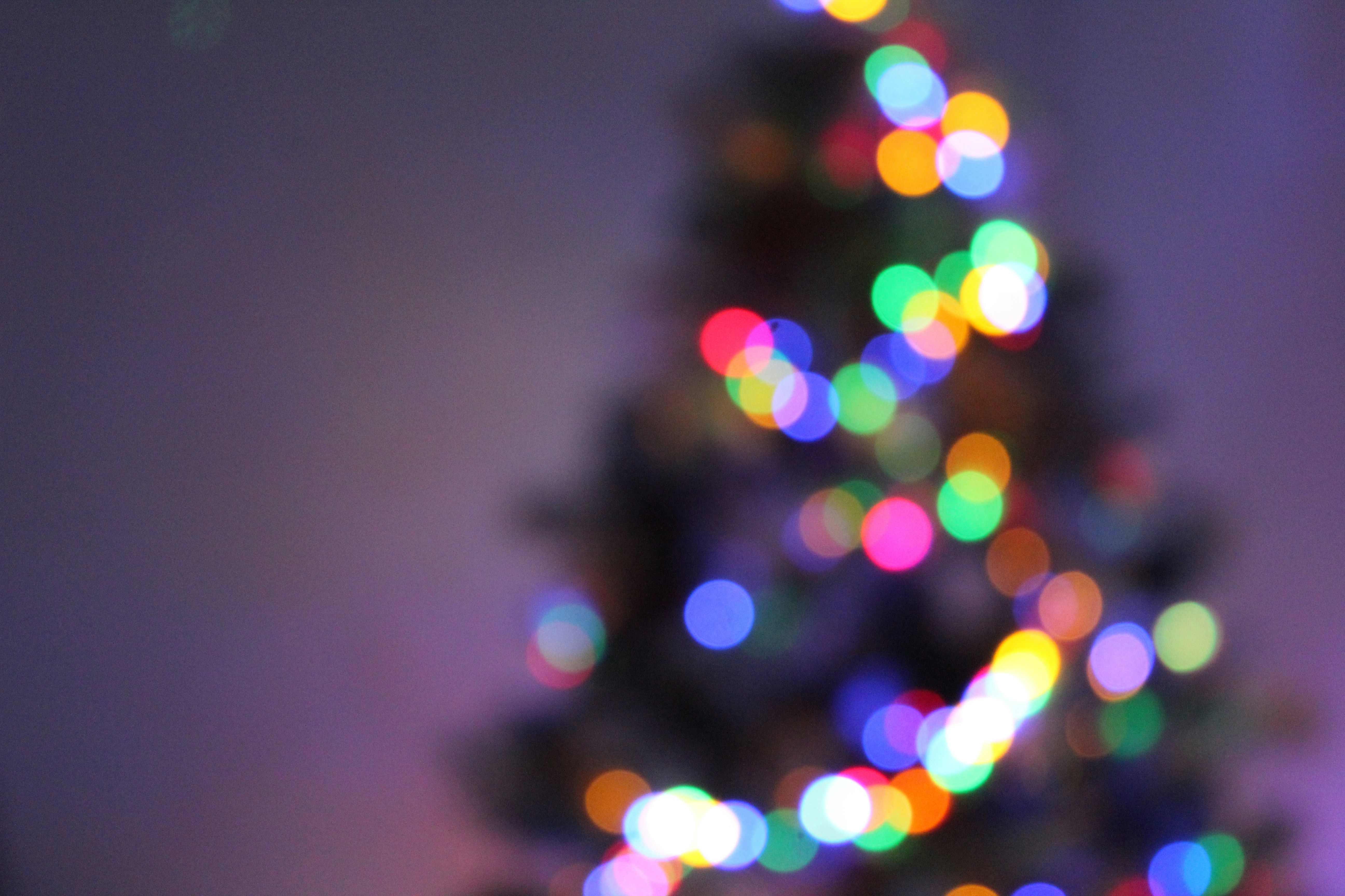 Photo by karnikowski