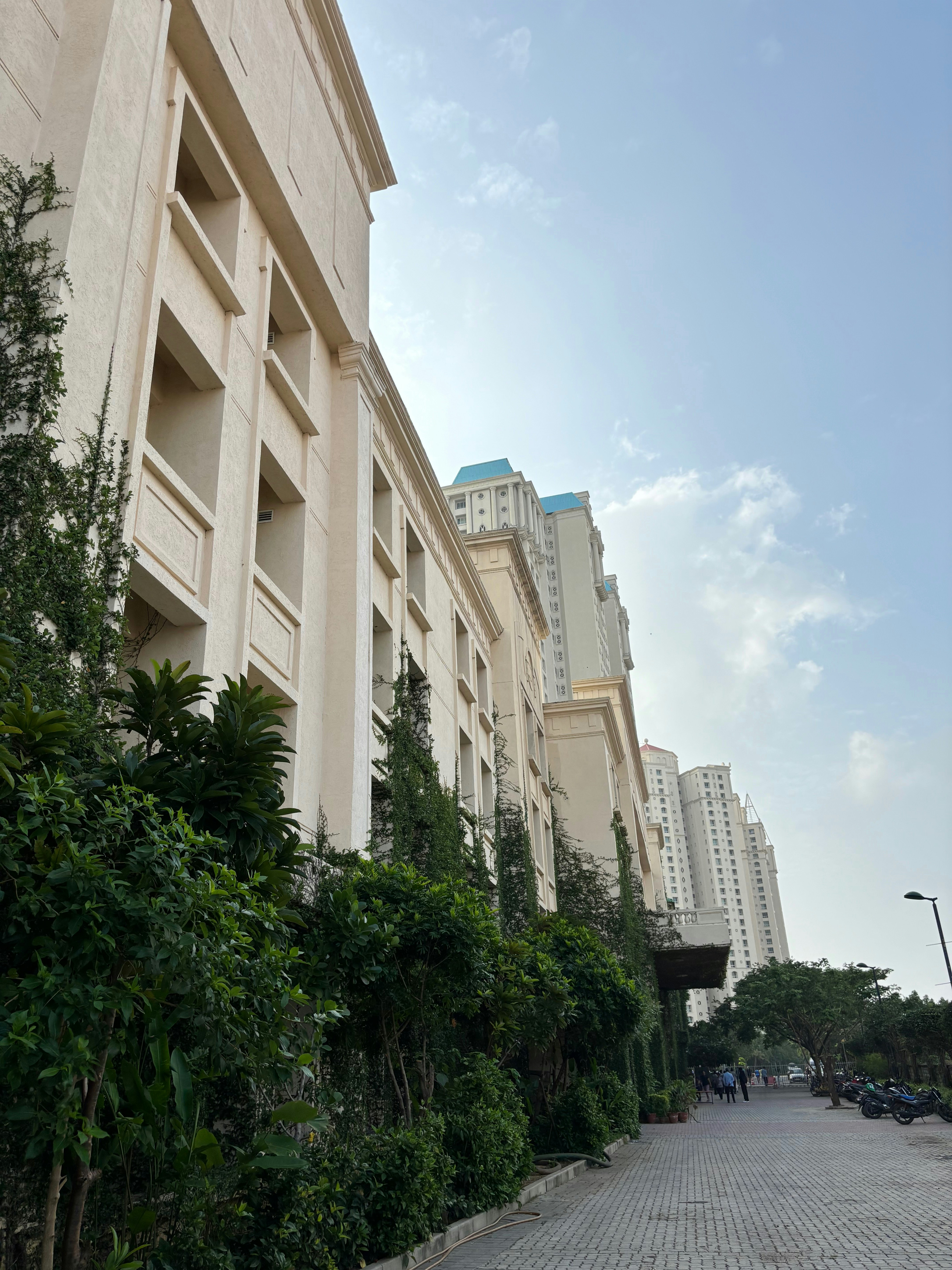 Photo by strawhatzoro