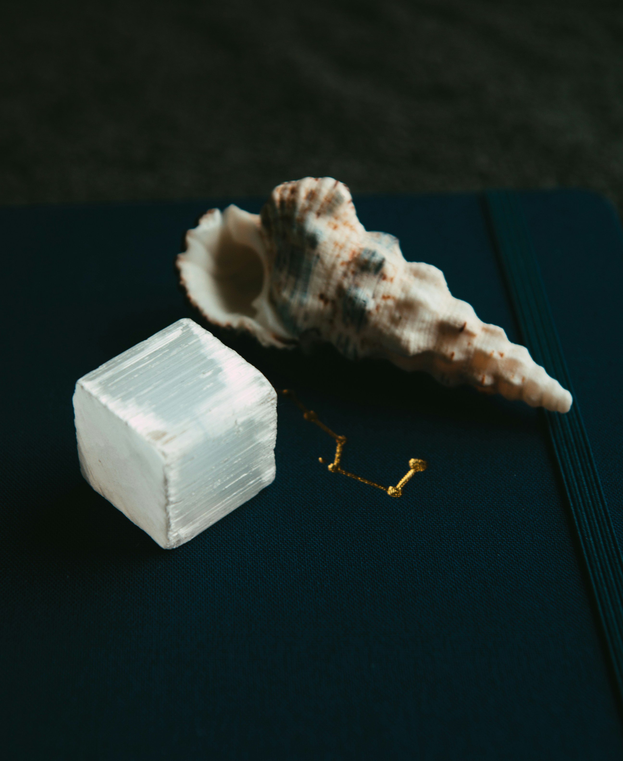 Photo by moonmoons_days