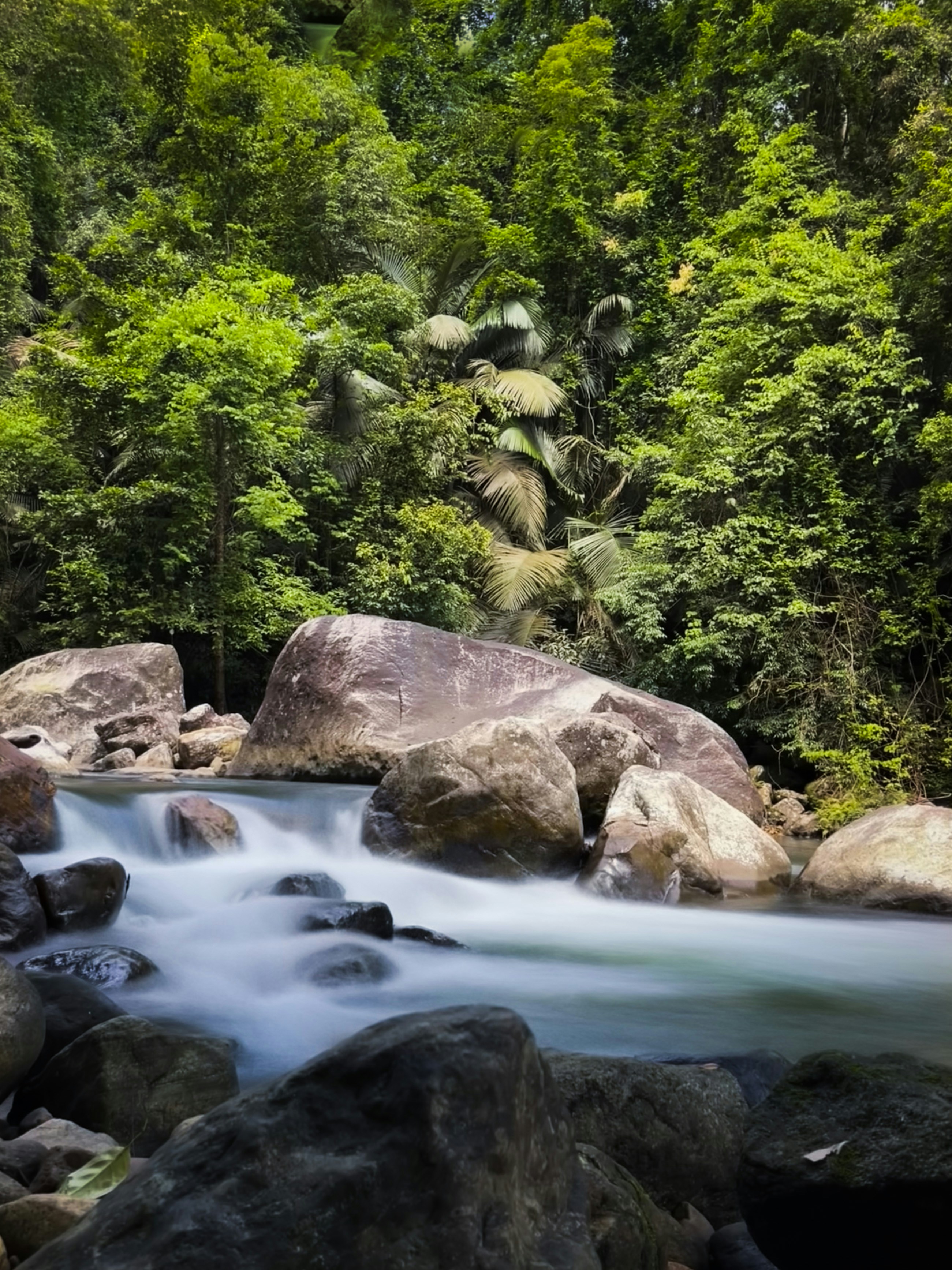 Photo by notwakeupsid