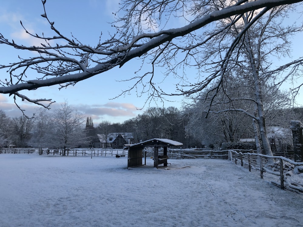 a snow covered park with a tree in the background