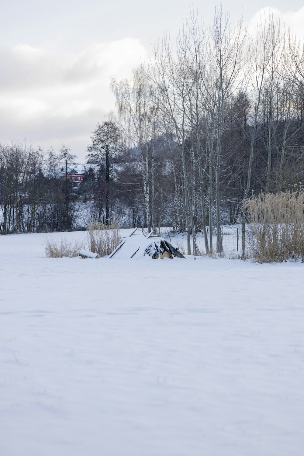 a snow covered field with trees in the background