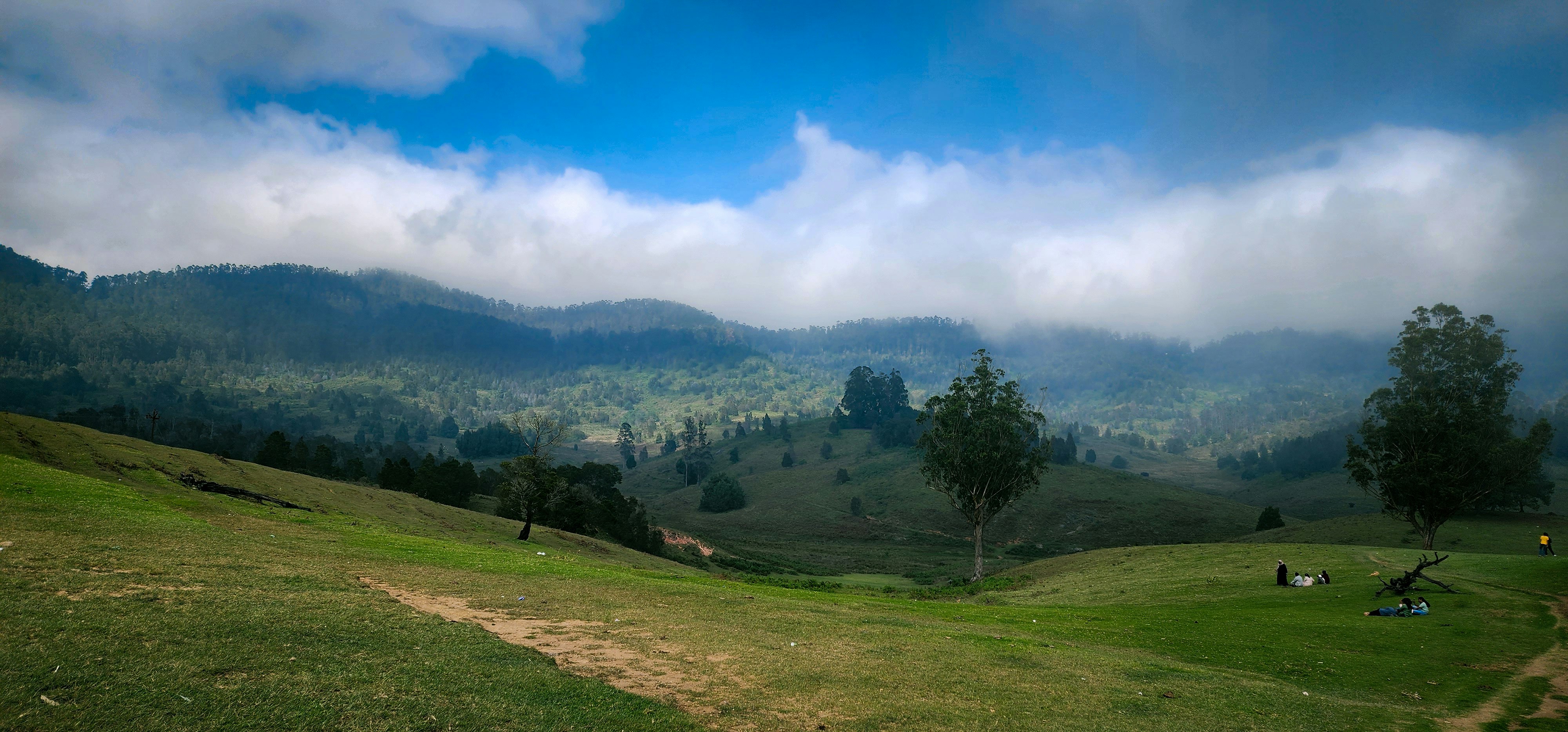 a grassy field with a few people sitting on it 풍경 사진