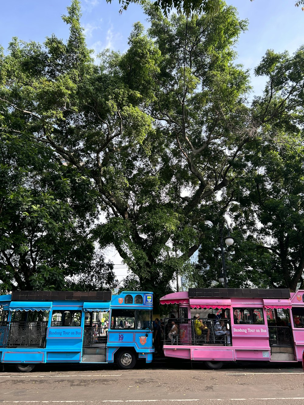 a couple of buses parked next to each other near a tree