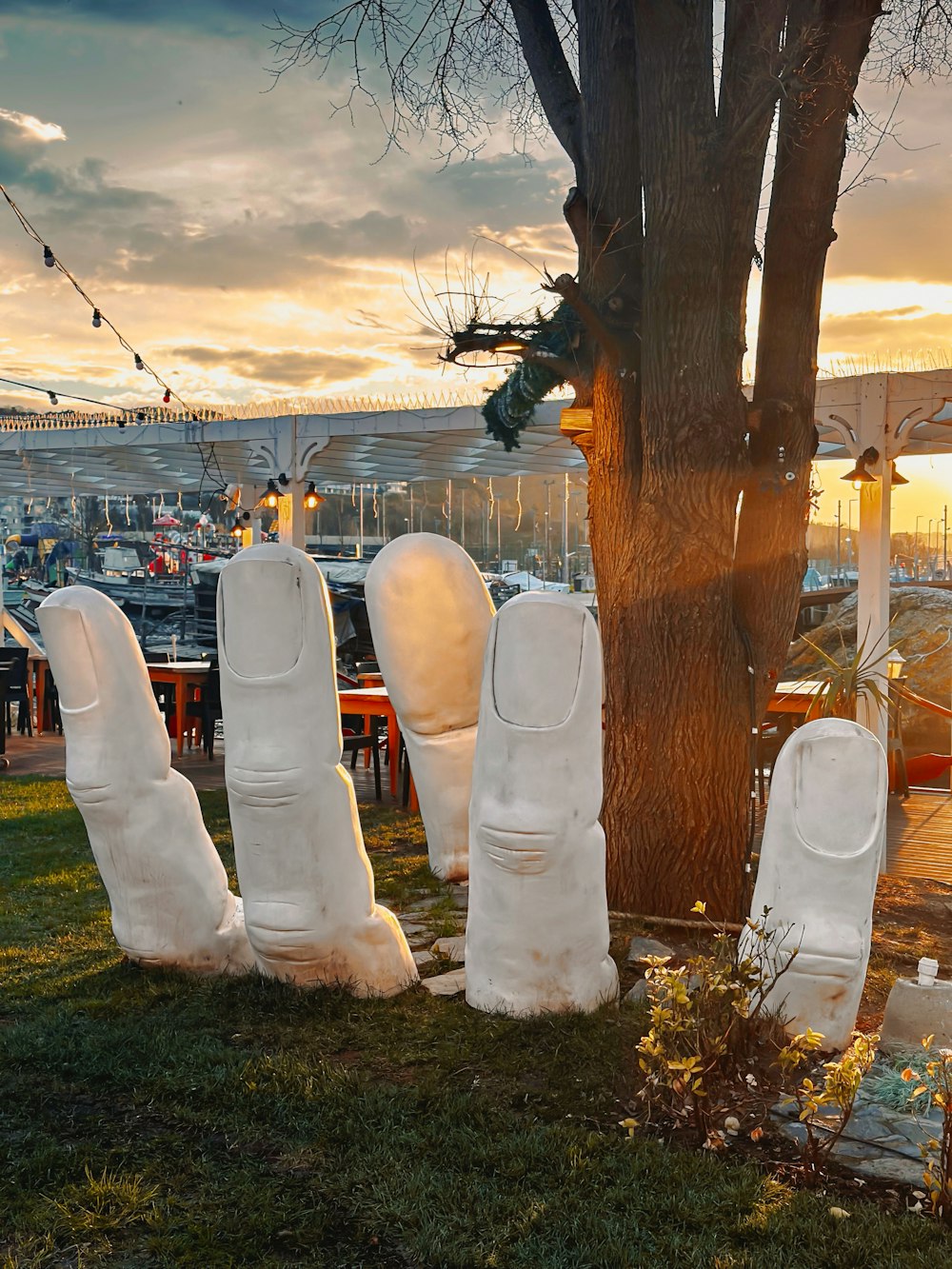 a group of white chairs sitting next to a tree