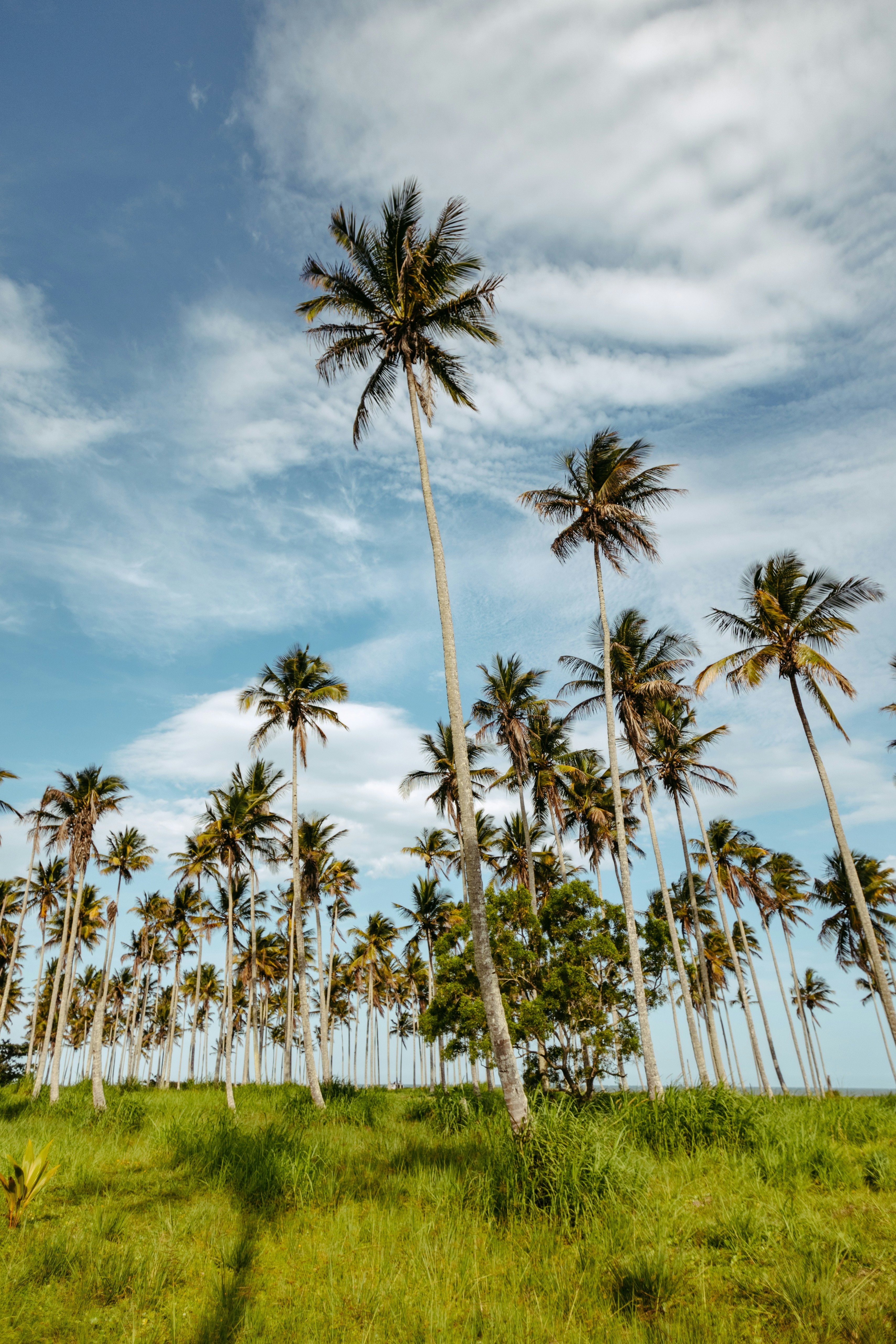 Photo by jonathanborba