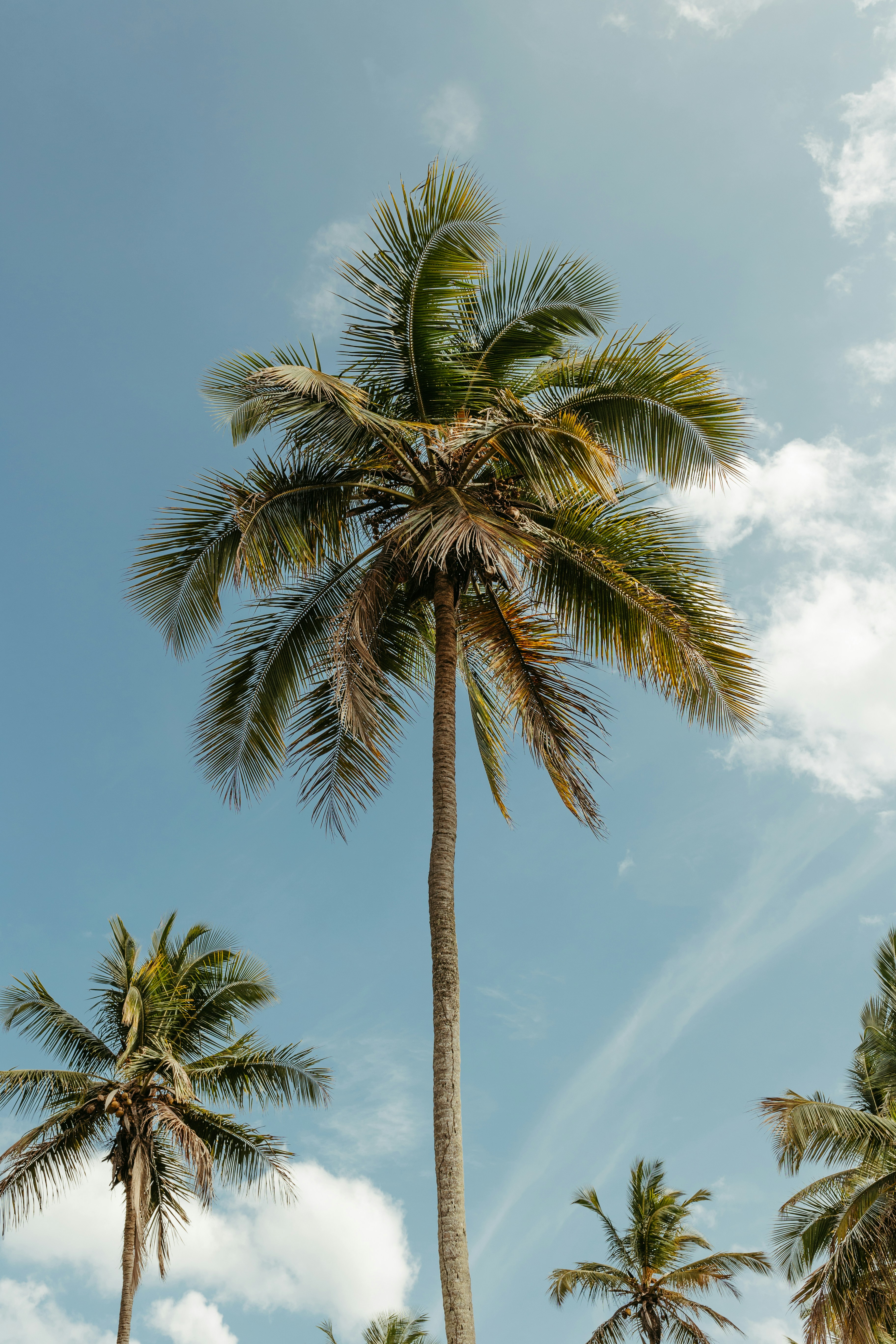 Photo by jonathanborba