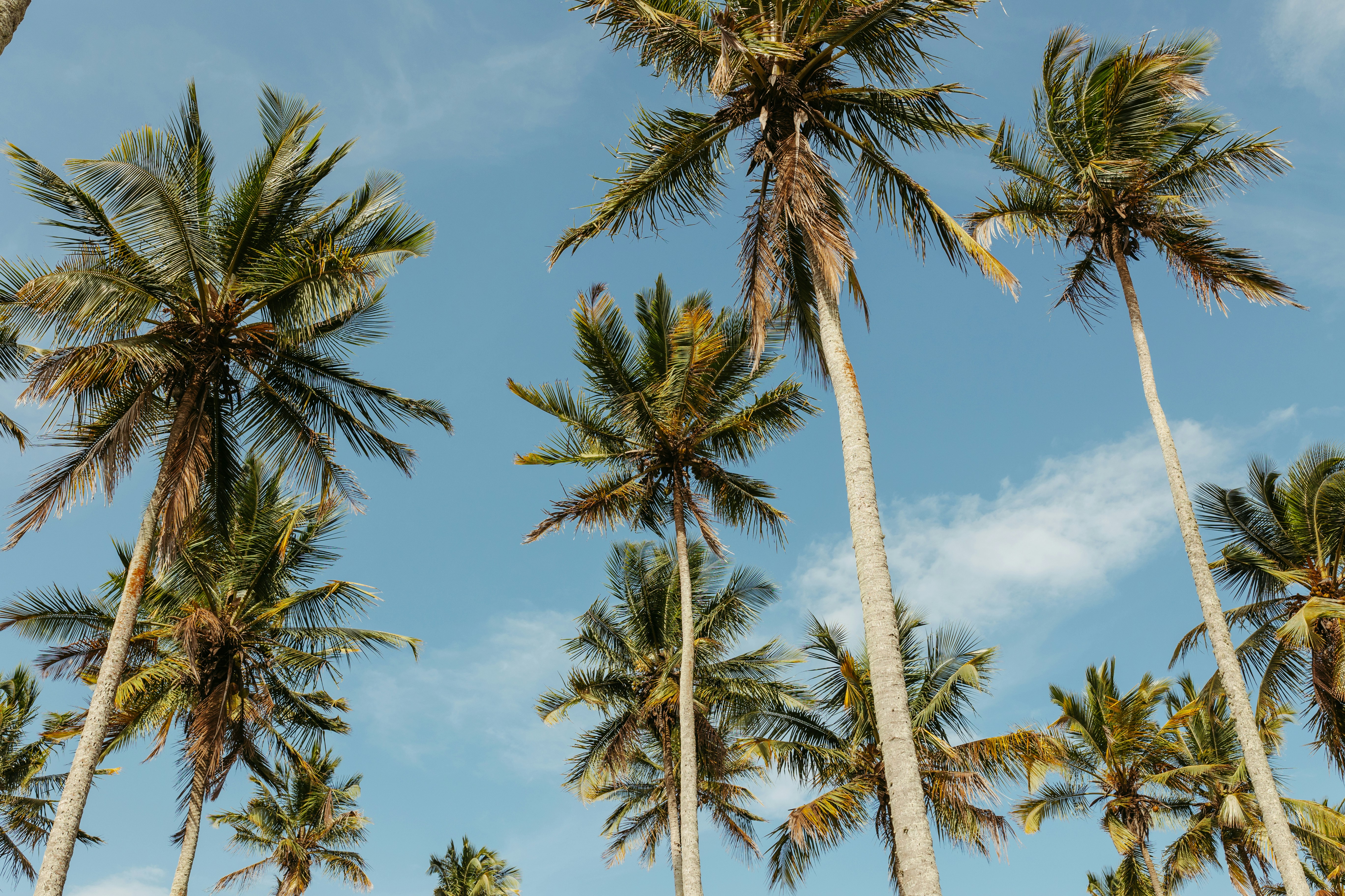 Photo by jonathanborba