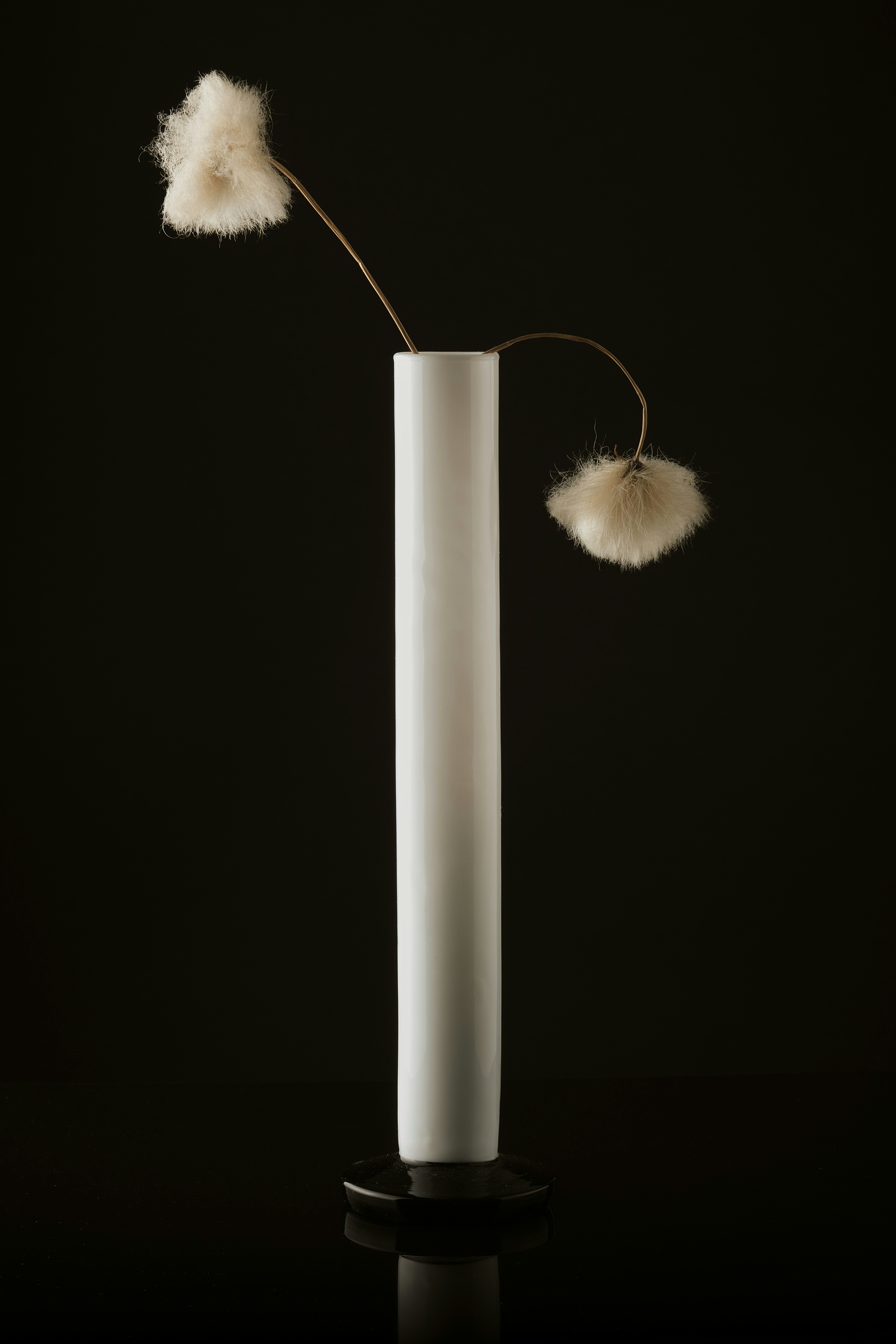 Photo by micheletardivo