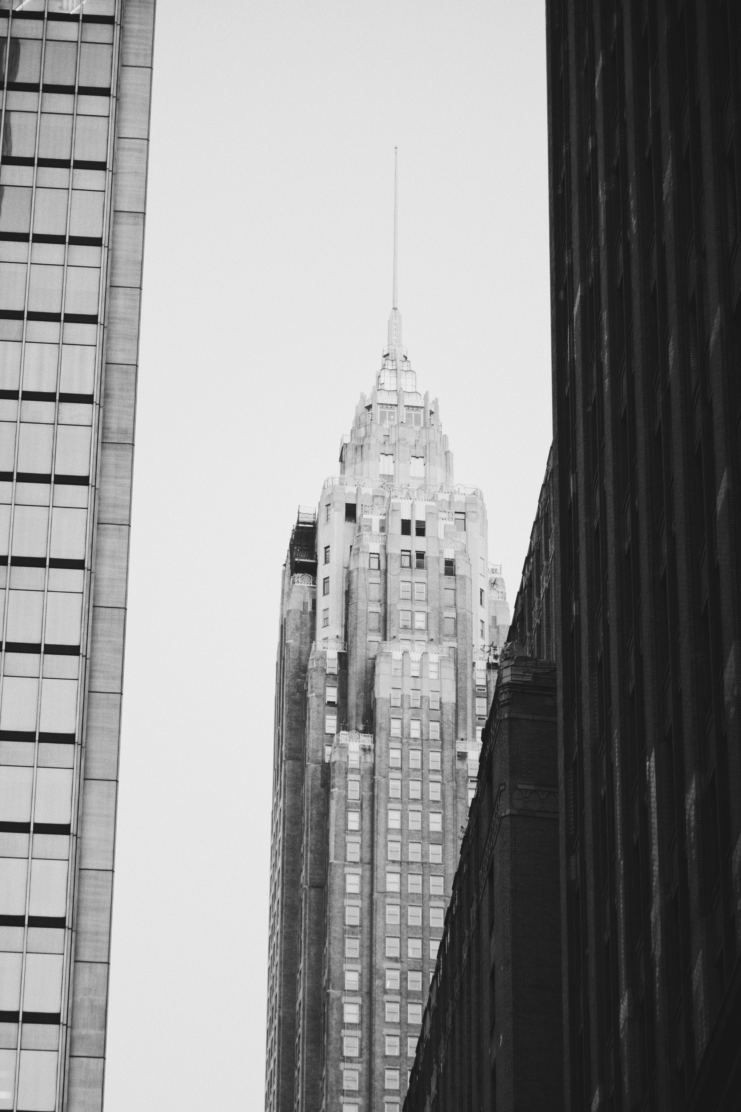 The Renaissance of St. Louis's image