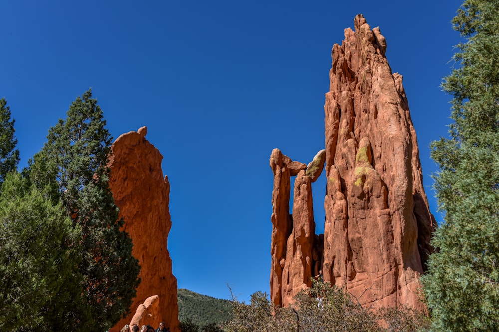 a large rock formation in the middle of a forest