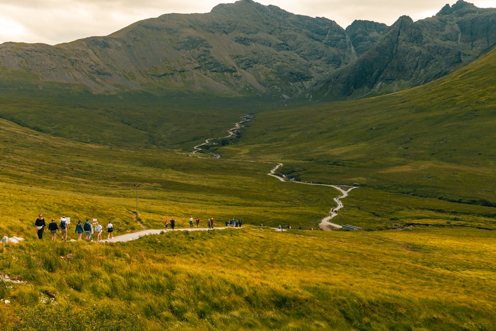 a group of people walking up a grassy hill