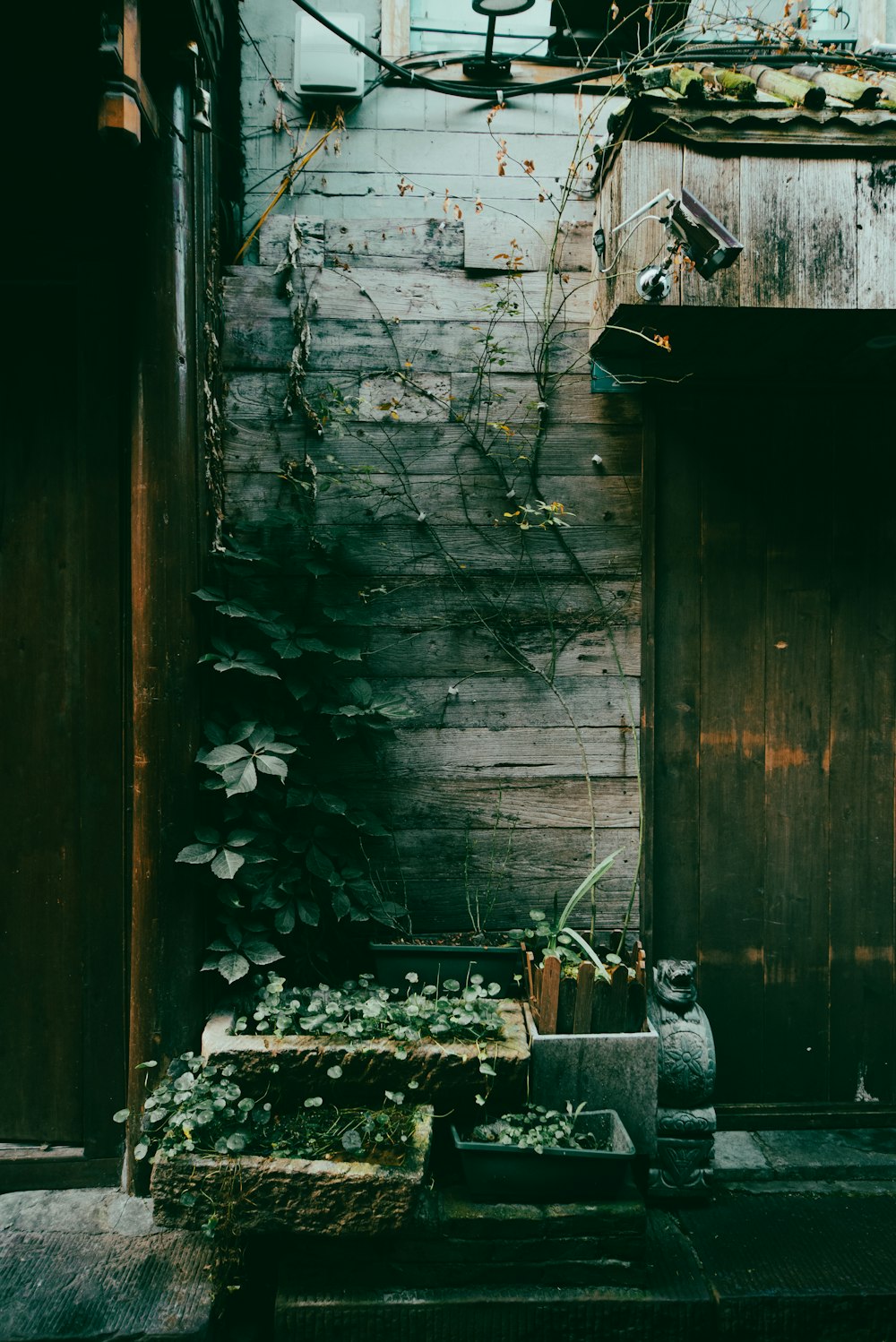 un edificio con una puerta de madera y algunas plantas