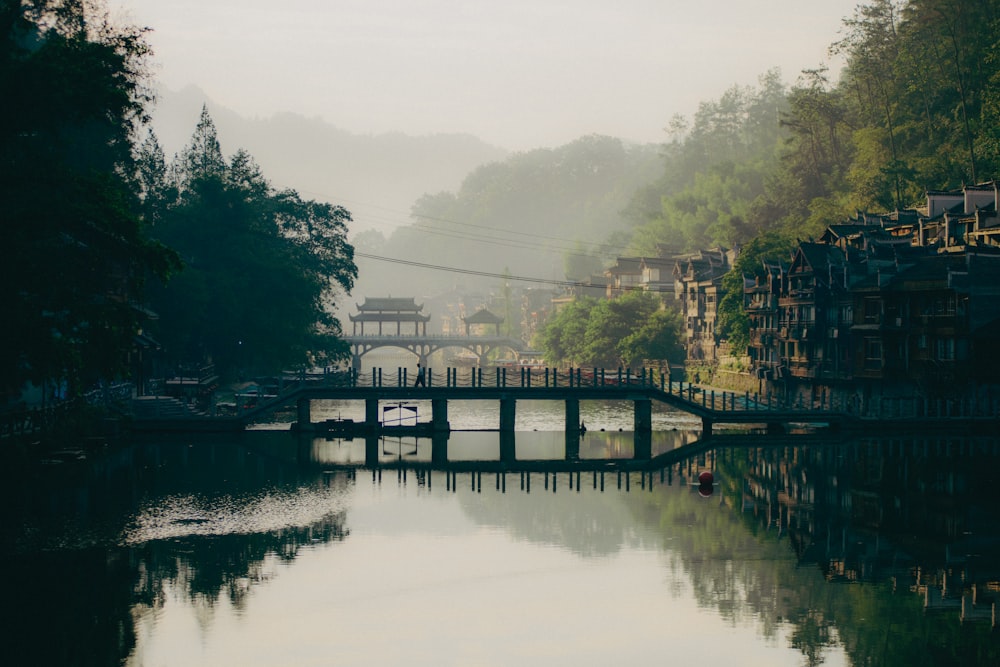 a bridge over a body of water surrounded by trees